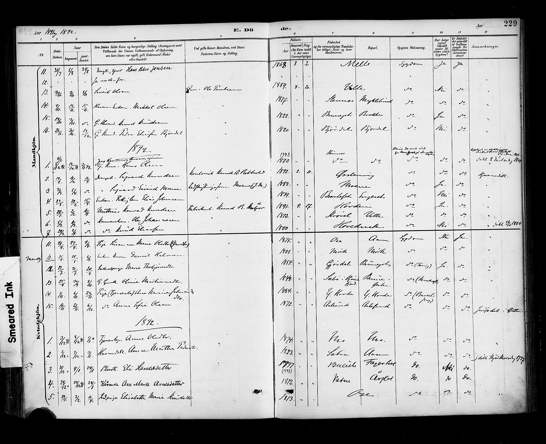 Ministerialprotokoller, klokkerbøker og fødselsregistre - Møre og Romsdal, AV/SAT-A-1454/513/L0177: Parish register (official) no. 513A04, 1890-1906, p. 229