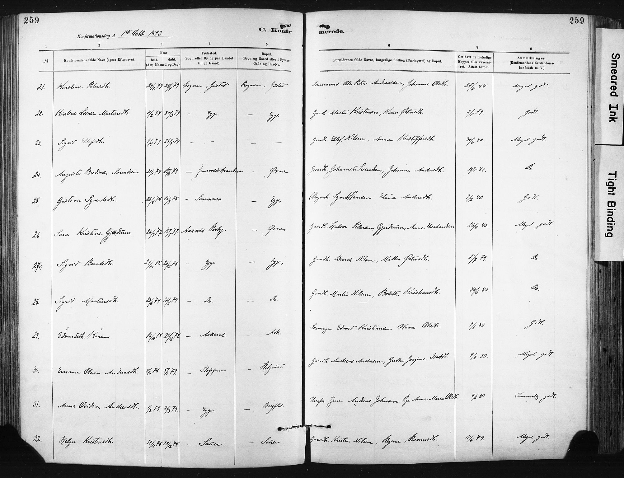 Lier kirkebøker, SAKO/A-230/F/Fa/L0015: Parish register (official) no. I 15, 1883-1894, p. 259