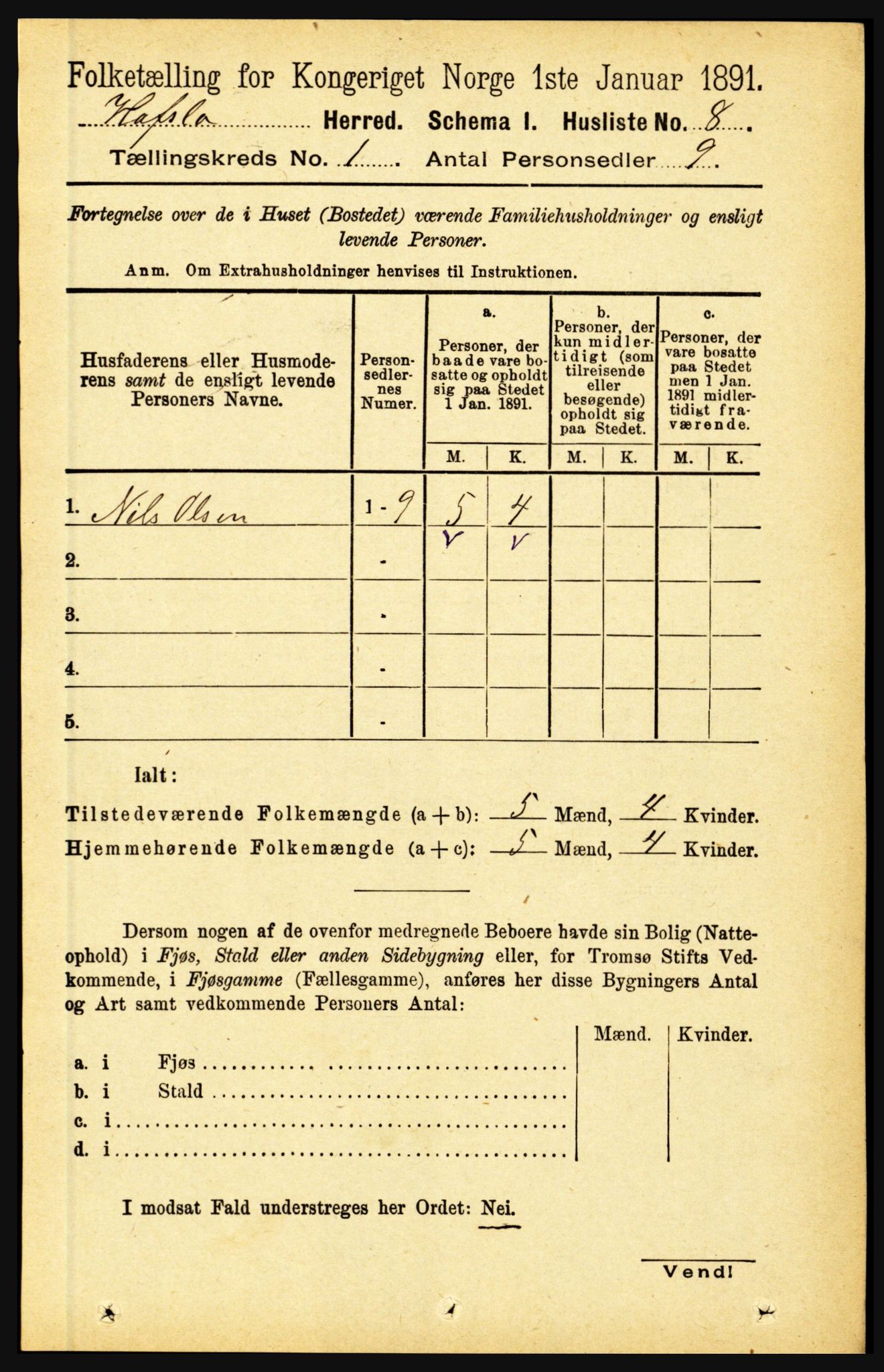 RA, 1891 census for 1425 Hafslo, 1891, p. 37