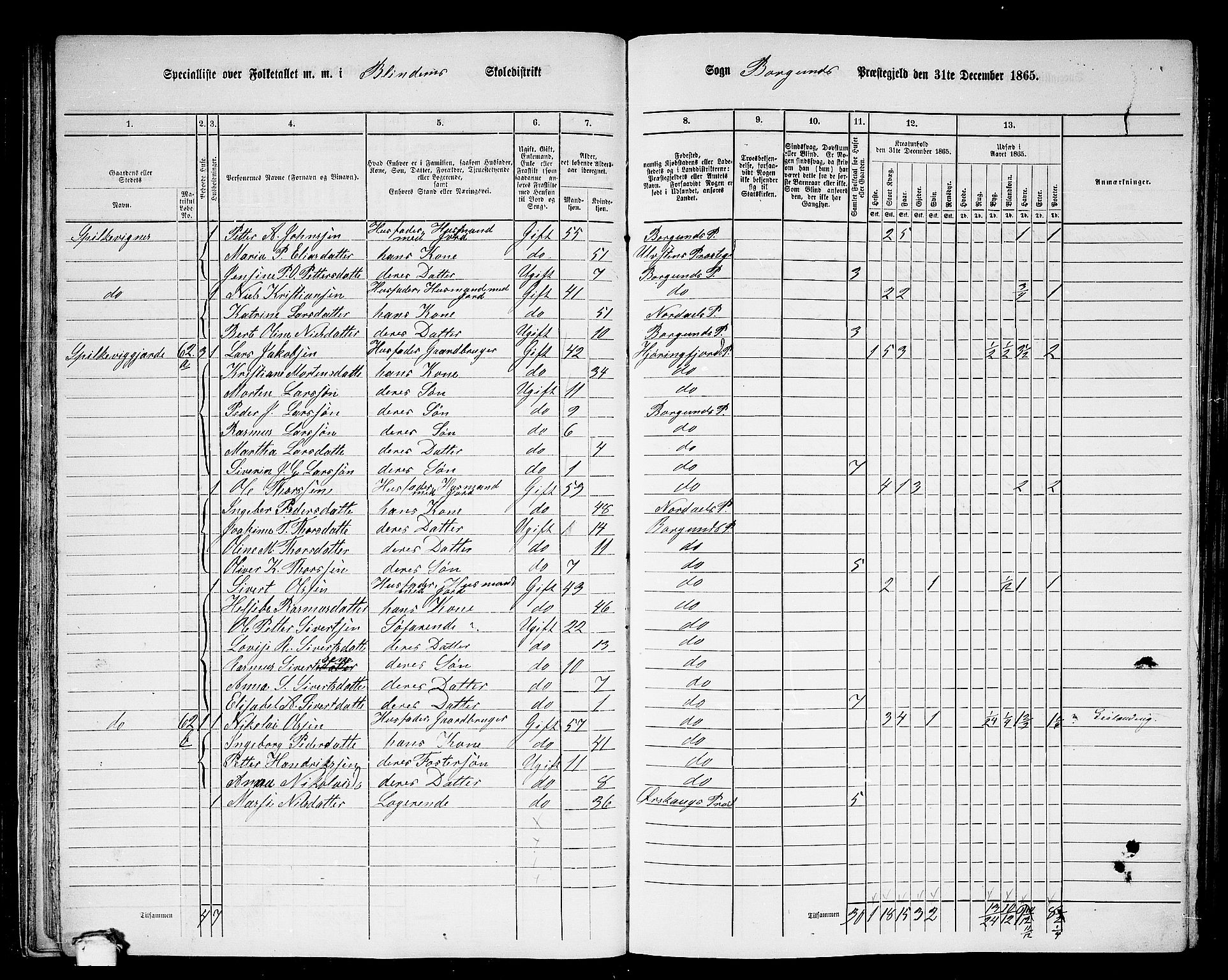 RA, 1865 census for Borgund, 1865, p. 35