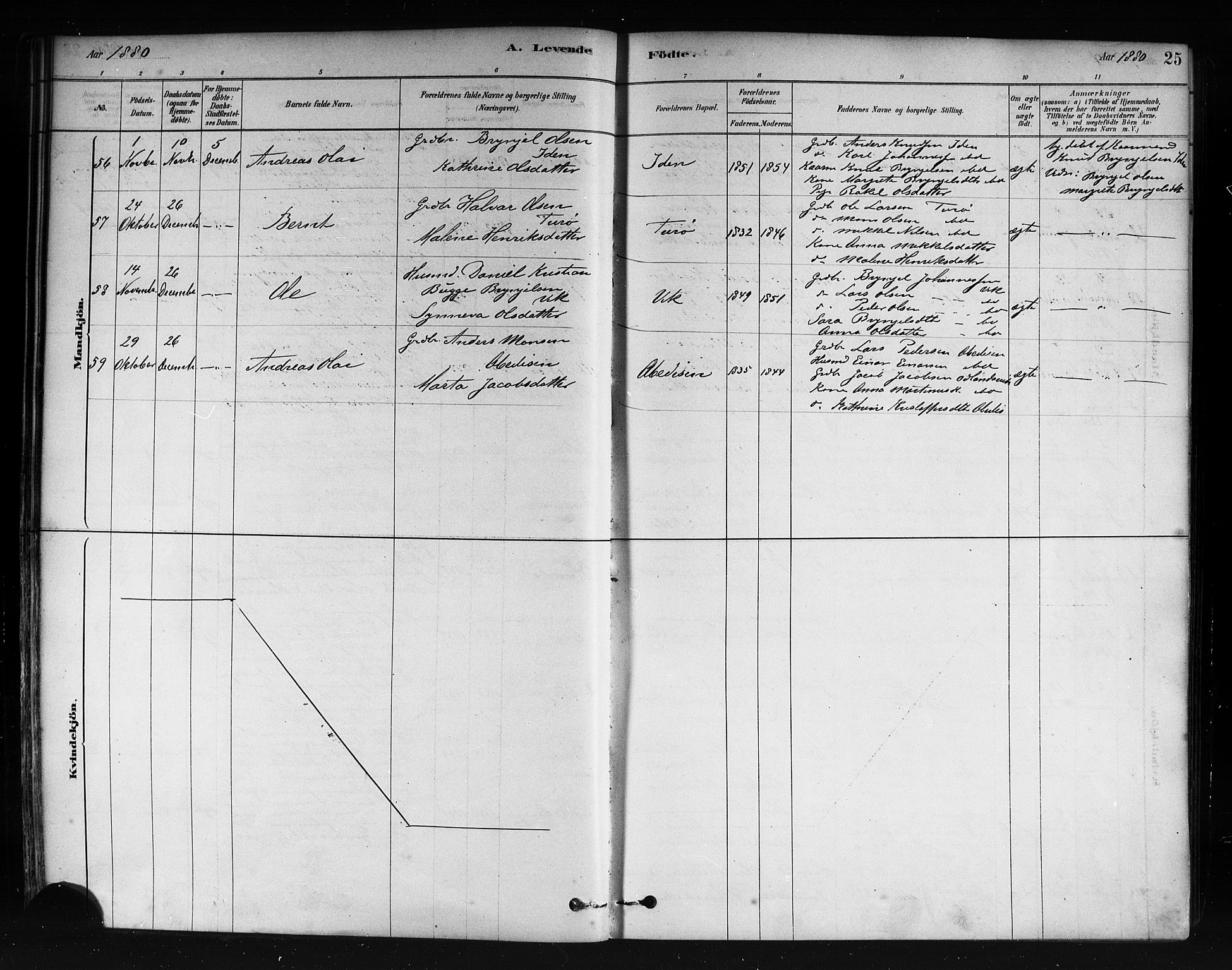 Herdla Sokneprestembete, AV/SAB-A-75701/H/Haa: Parish register (official) no. A 3, 1878-1890, p. 25