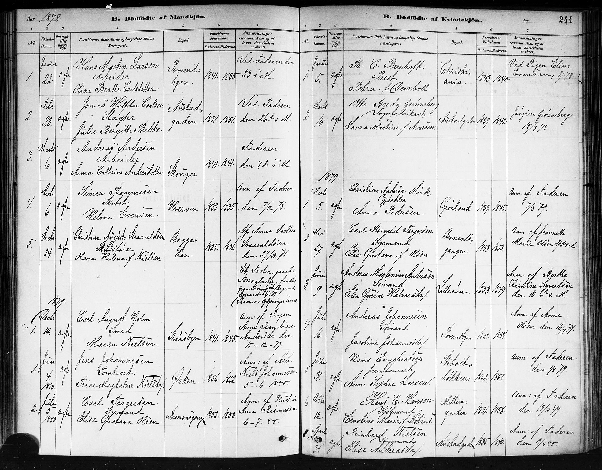 Strømsø kirkebøker, AV/SAKO-A-246/F/Fa/L0021: Parish register (official) no. I 21, 1878-1885, p. 244