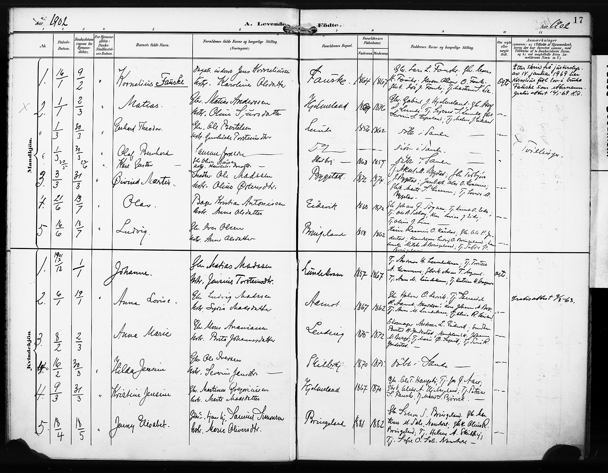 Gaular sokneprestembete, AV/SAB-A-80001/H/Haa: Parish register (official) no. C 2, 1898-1910, p. 17