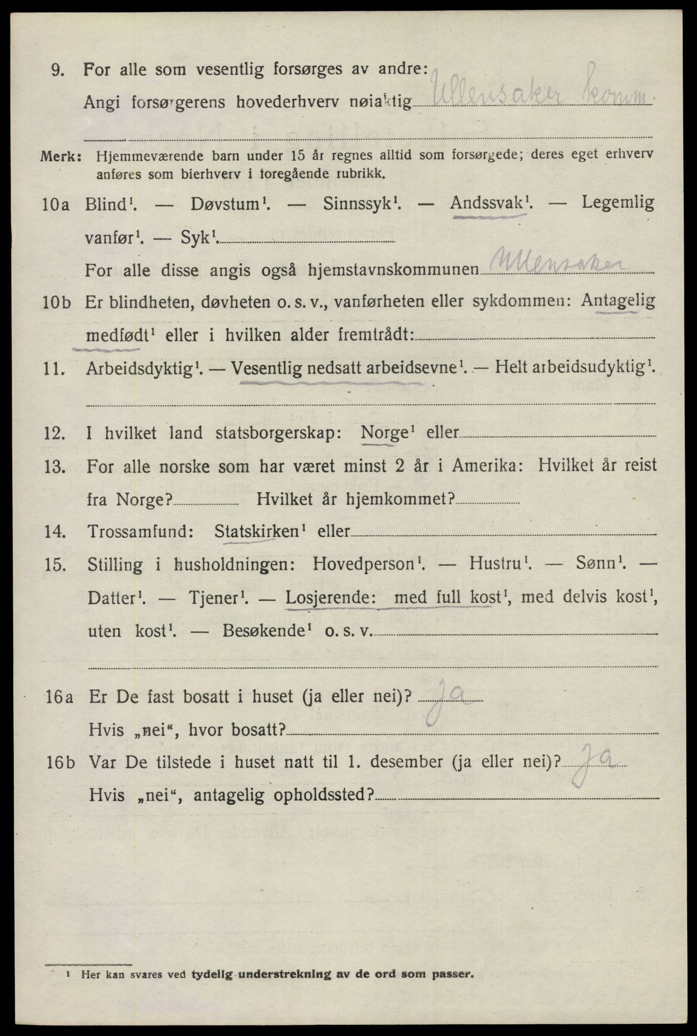 SAO, 1920 census for Nes, 1920, p. 21919