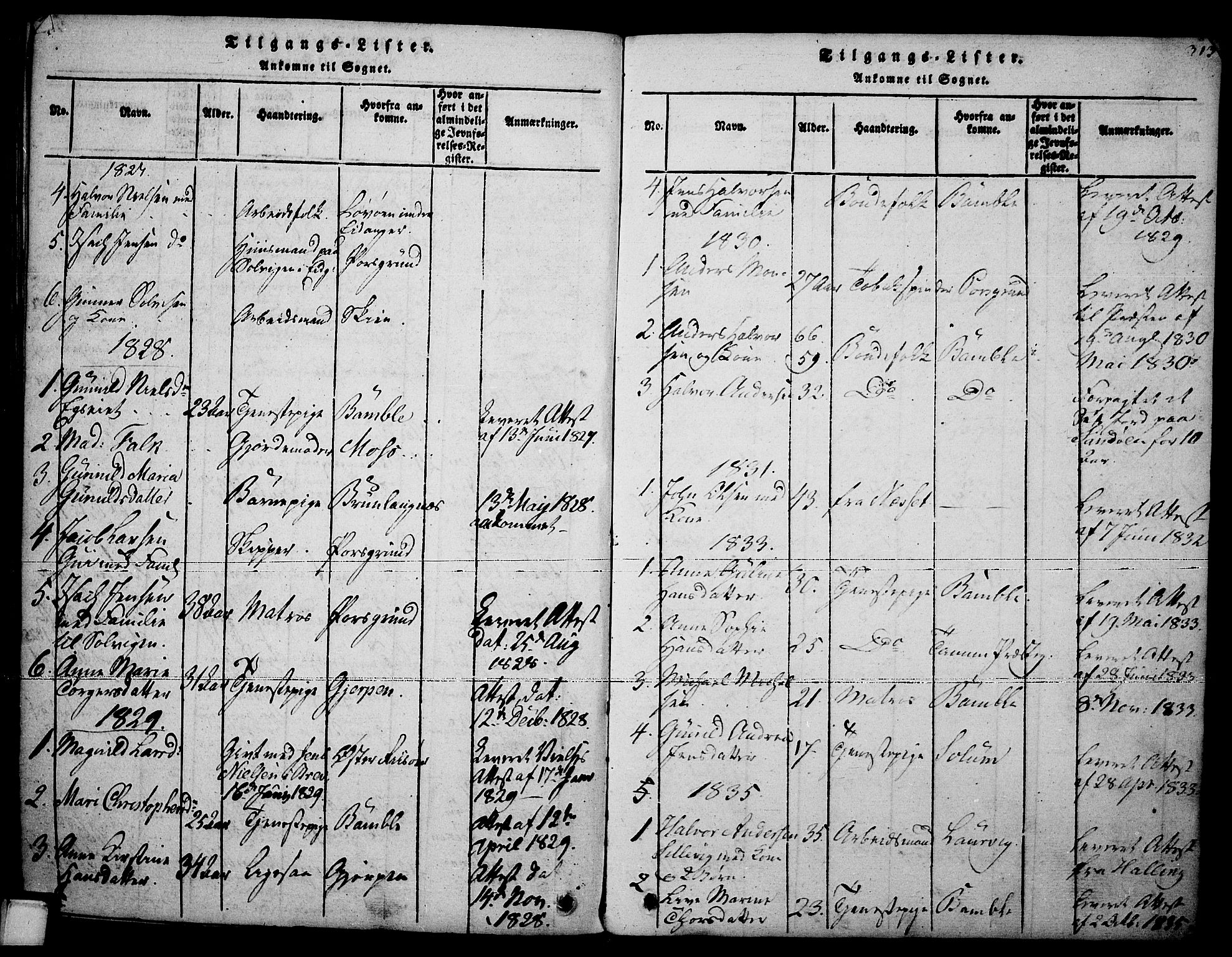 Brevik kirkebøker, AV/SAKO-A-255/F/Fa/L0004: Parish register (official) no. 4, 1814-1846, p. 313