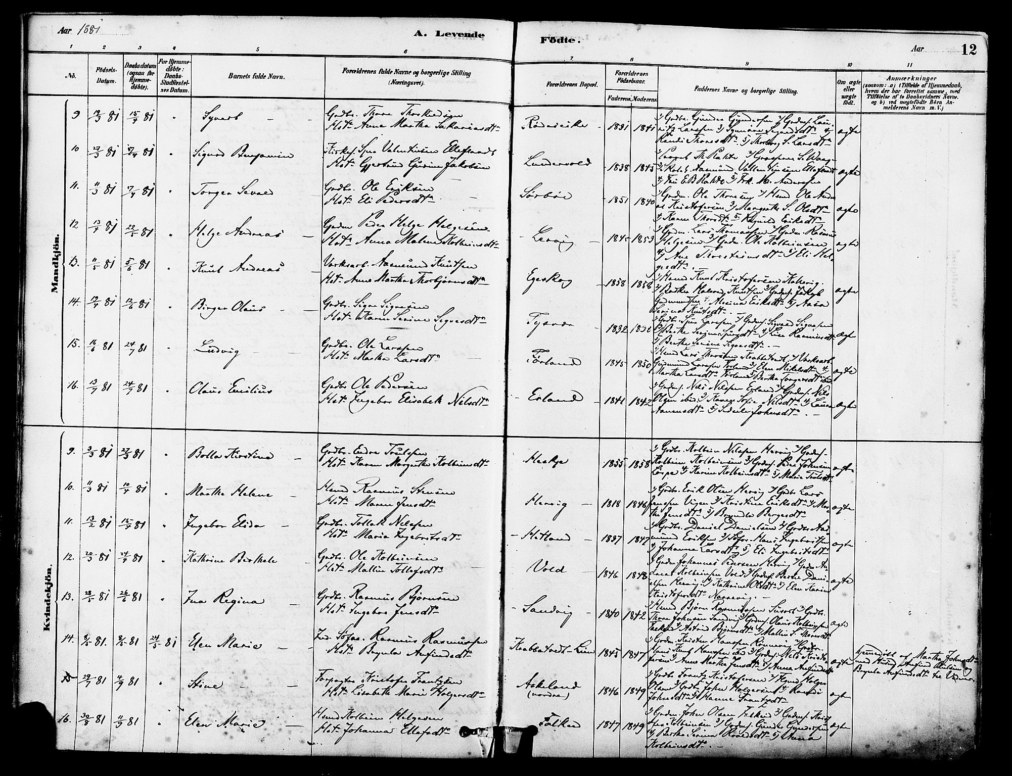 Tysvær sokneprestkontor, SAST/A -101864/H/Ha/Haa/L0006: Parish register (official) no. A 6, 1878-1896, p. 12