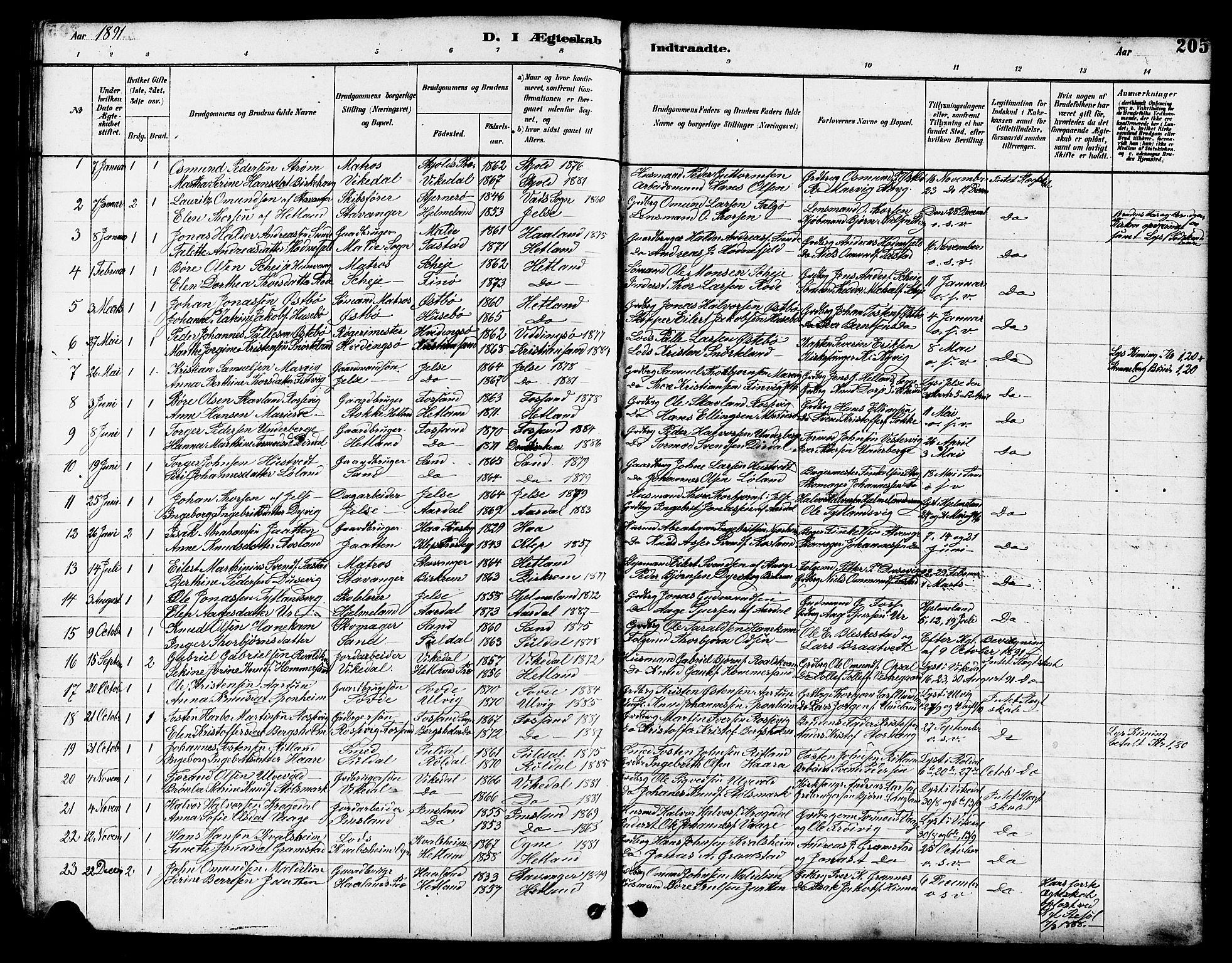 Hetland sokneprestkontor, SAST/A-101826/30/30BB/L0005: Parish register (copy) no. B 5, 1878-1910, p. 205