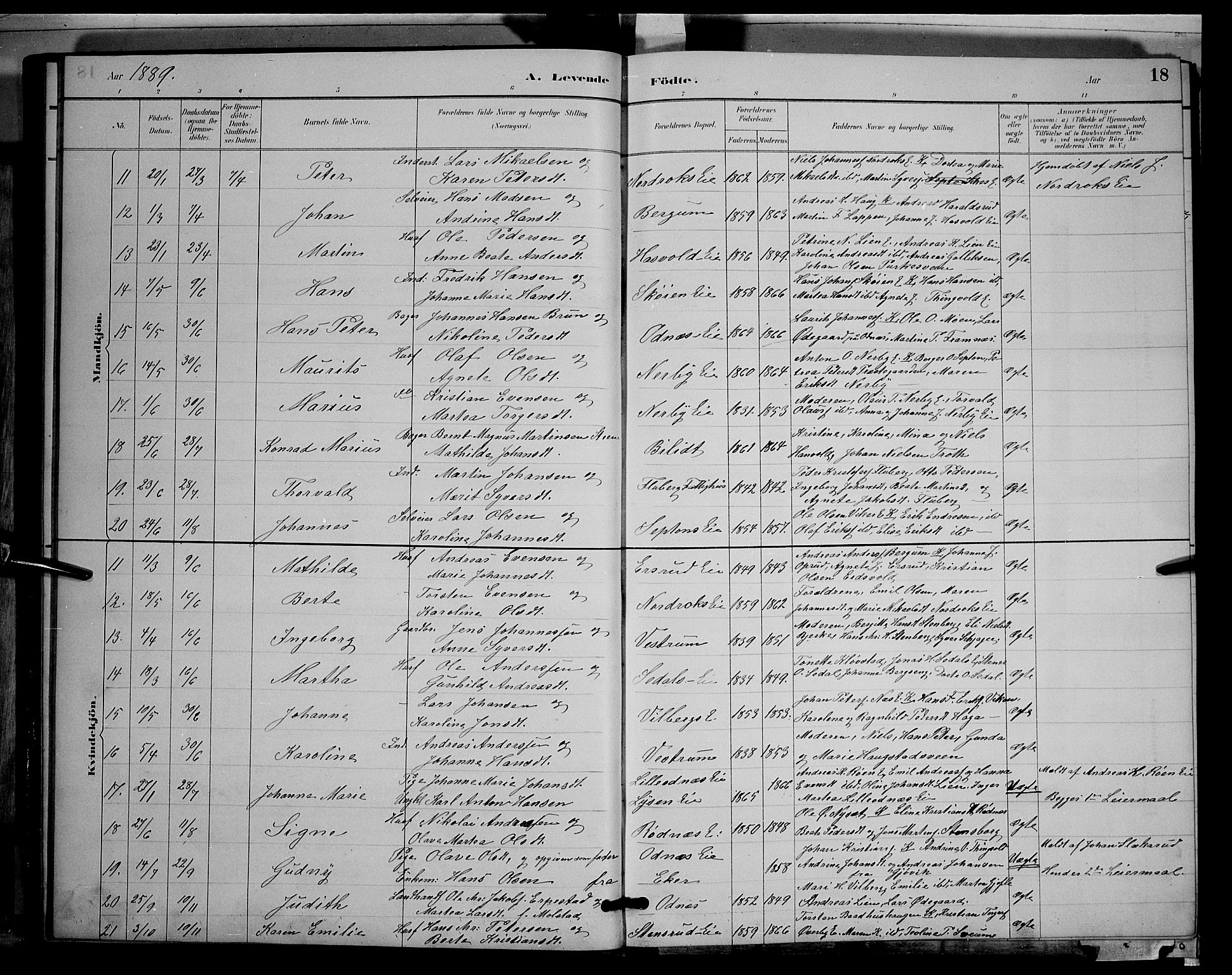 Søndre Land prestekontor, AV/SAH-PREST-122/L/L0003: Parish register (copy) no. 3, 1884-1902, p. 18