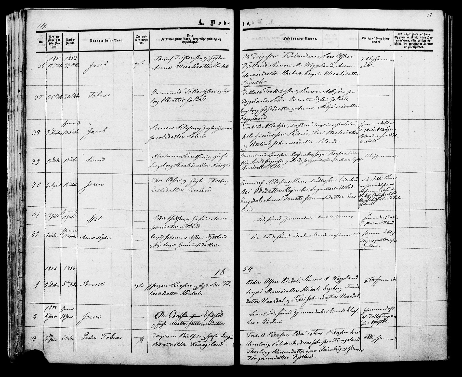 Fjotland sokneprestkontor, AV/SAK-1111-0010/F/Fa/L0001: Parish register (official) no. A 1, 1850-1879, p. 17