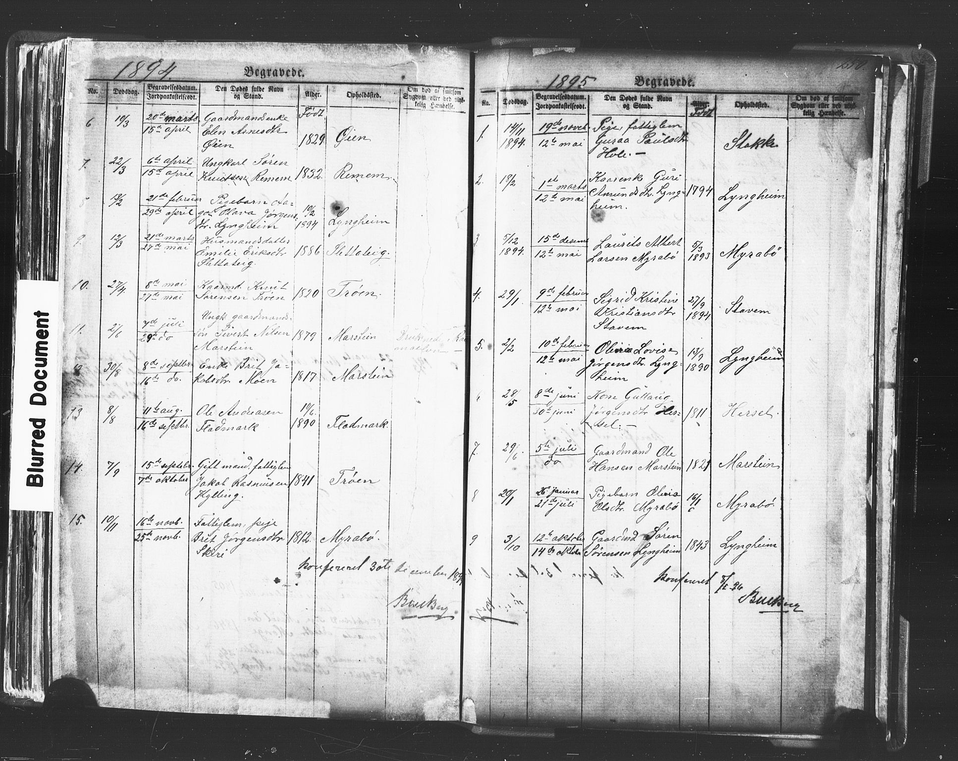 Ministerialprotokoller, klokkerbøker og fødselsregistre - Møre og Romsdal, SAT/A-1454/546/L0596: Parish register (copy) no. 546C02, 1867-1921, p. 250