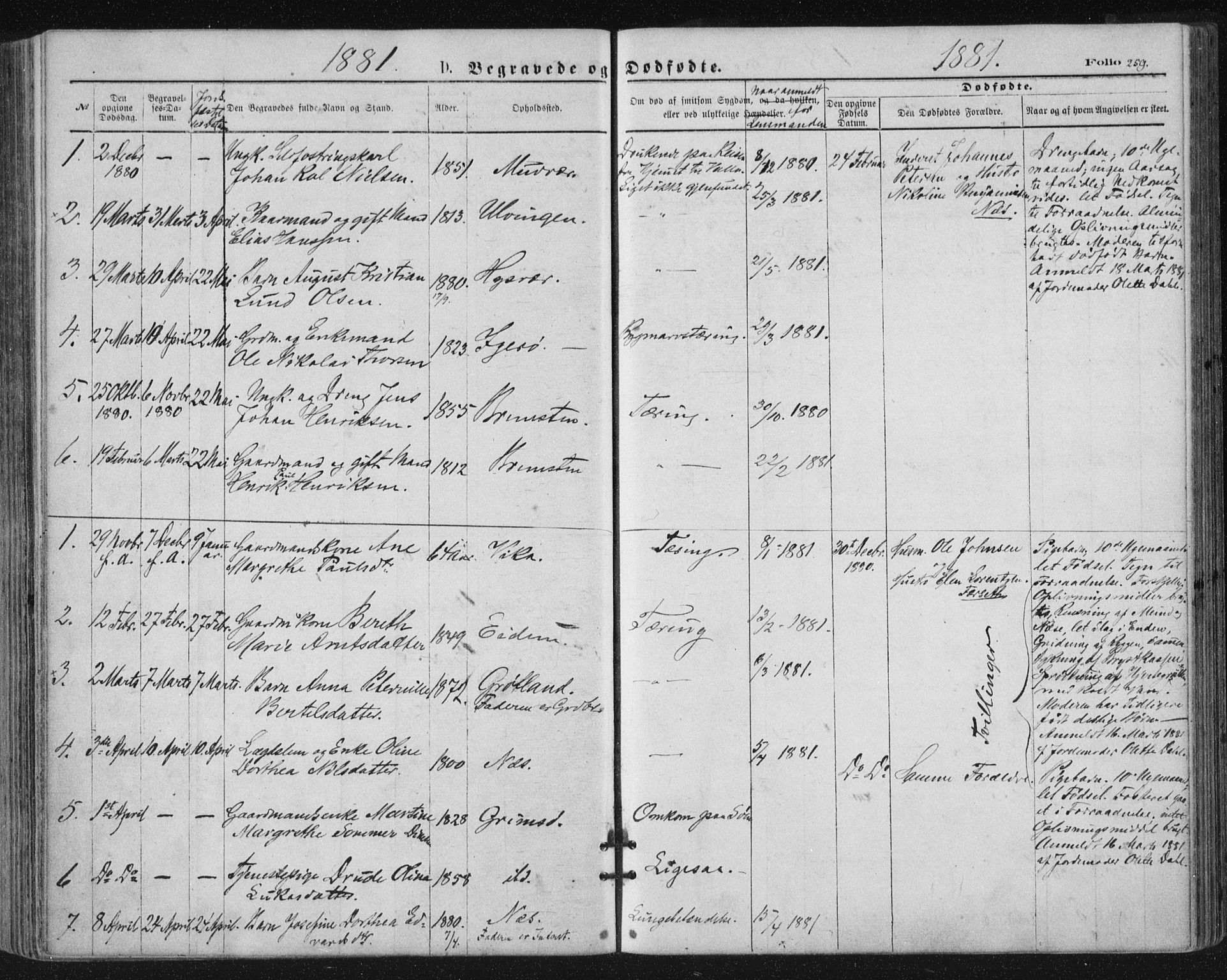 Ministerialprotokoller, klokkerbøker og fødselsregistre - Nordland, SAT/A-1459/816/L0241: Parish register (official) no. 816A07, 1870-1885, p. 259