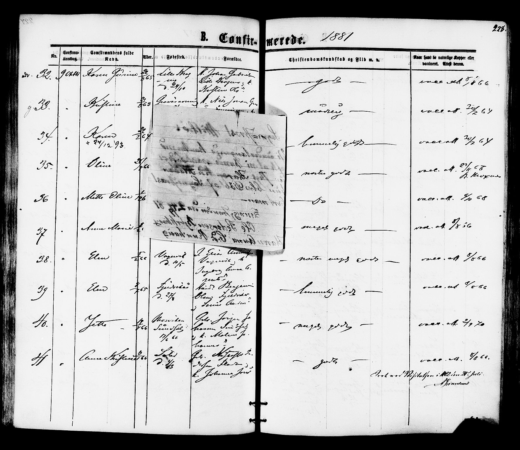 Ministerialprotokoller, klokkerbøker og fødselsregistre - Nord-Trøndelag, SAT/A-1458/701/L0009: Parish register (official) no. 701A09 /1, 1864-1882, p. 228
