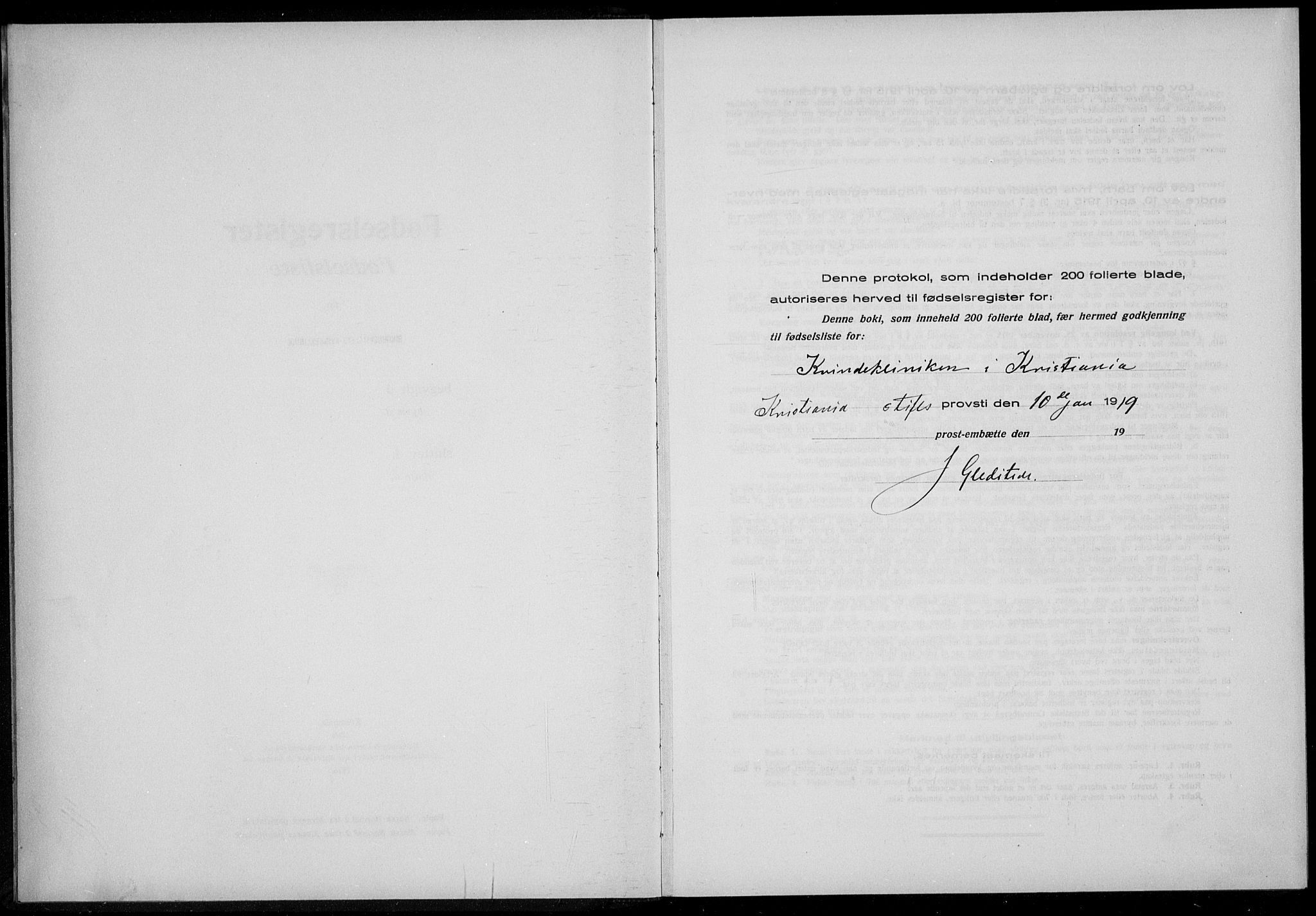 Rikshospitalet prestekontor Kirkebøker, SAO/A-10309b/J/L0004: Birth register no. 4, 1919-1919