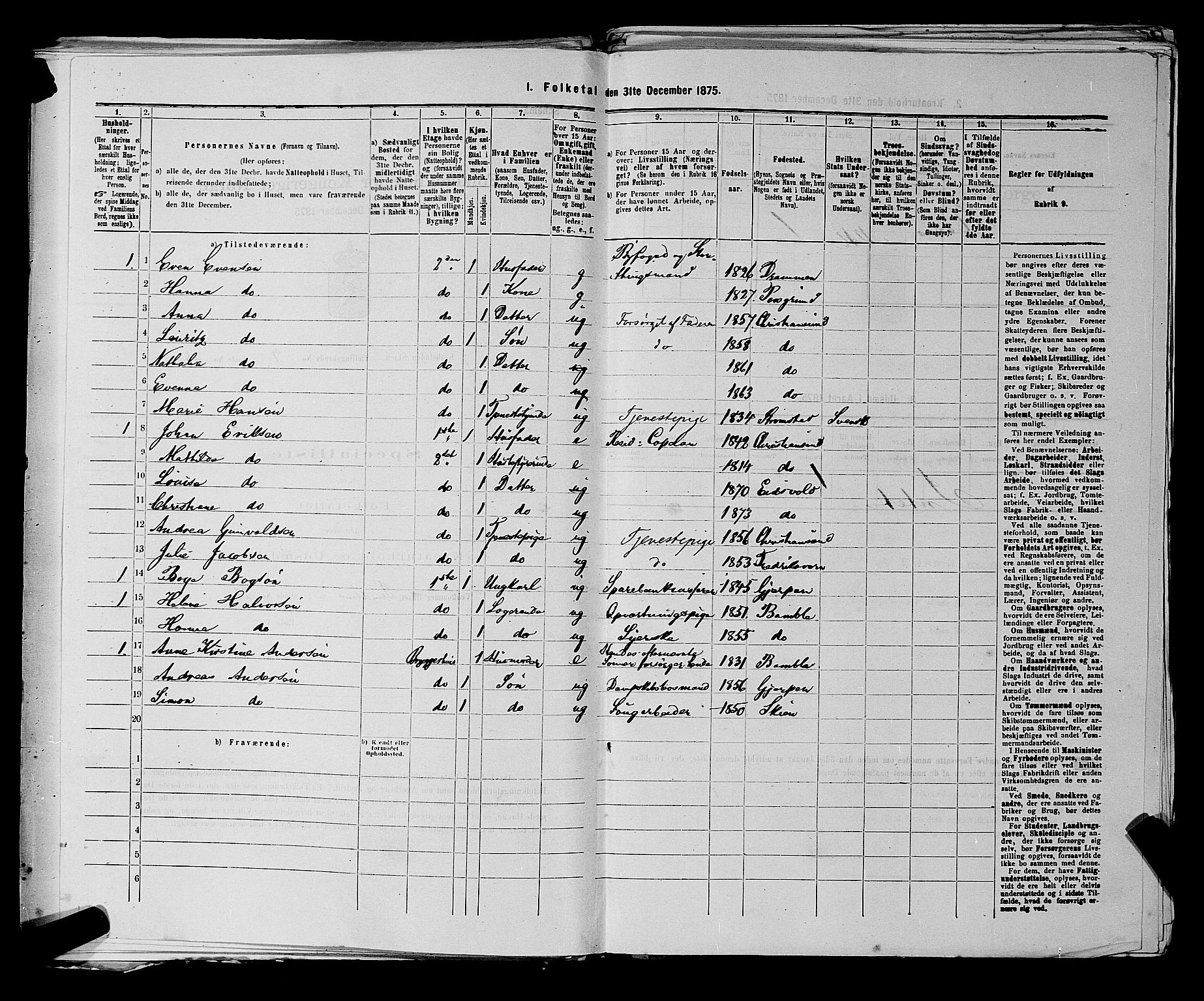 SAKO, 1875 census for 0806P Skien, 1875, p. 325