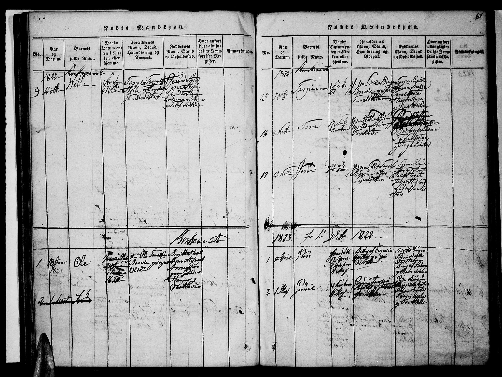 Valle sokneprestkontor, AV/SAK-1111-0044/F/Fb/Fbc/L0001: Parish register (copy) no. B 1 /2, 1816-1829, p. 61