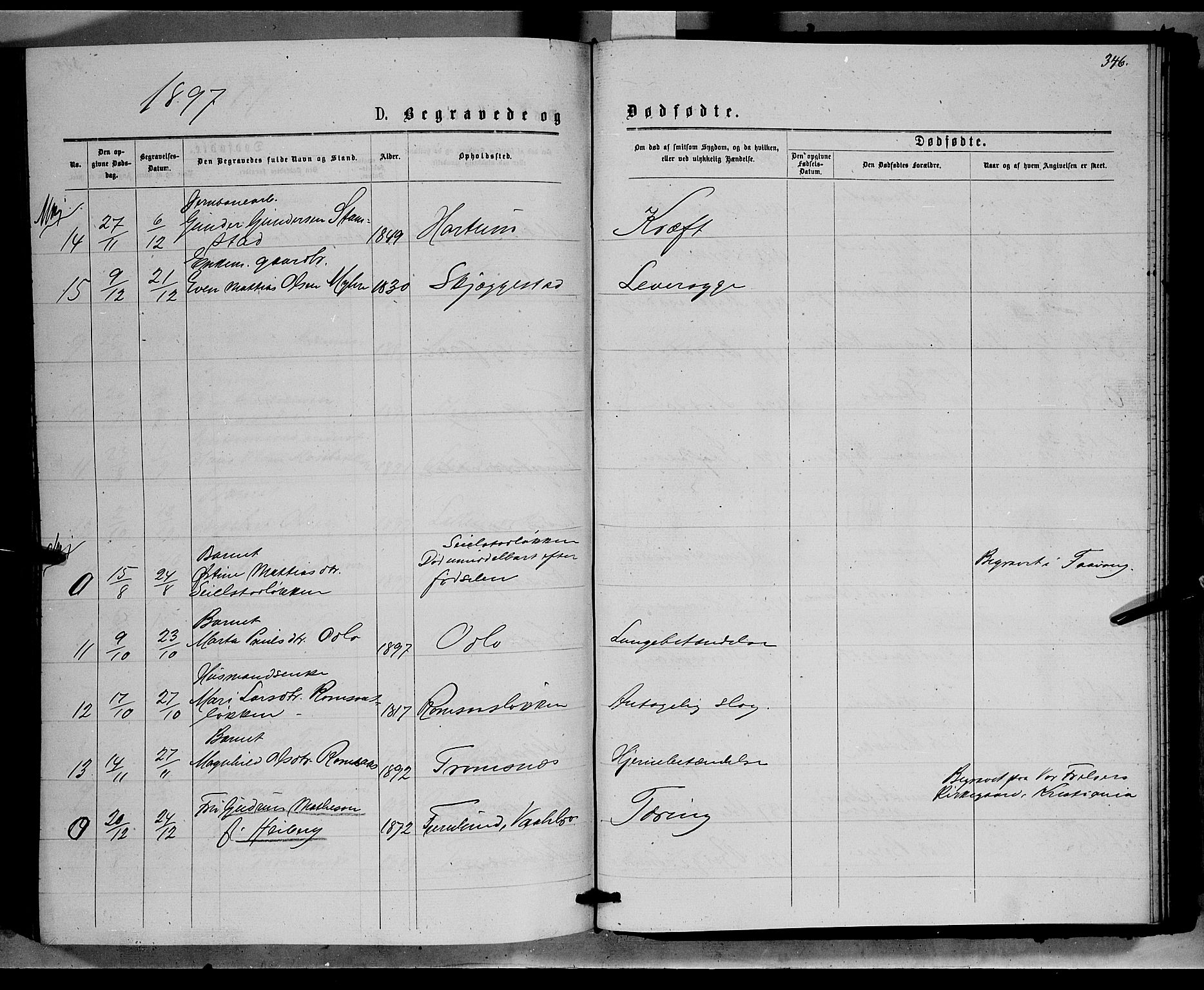 Ringebu prestekontor, AV/SAH-PREST-082/H/Ha/Hab/L0006: Parish register (copy) no. 6, 1880-1898, p. 346