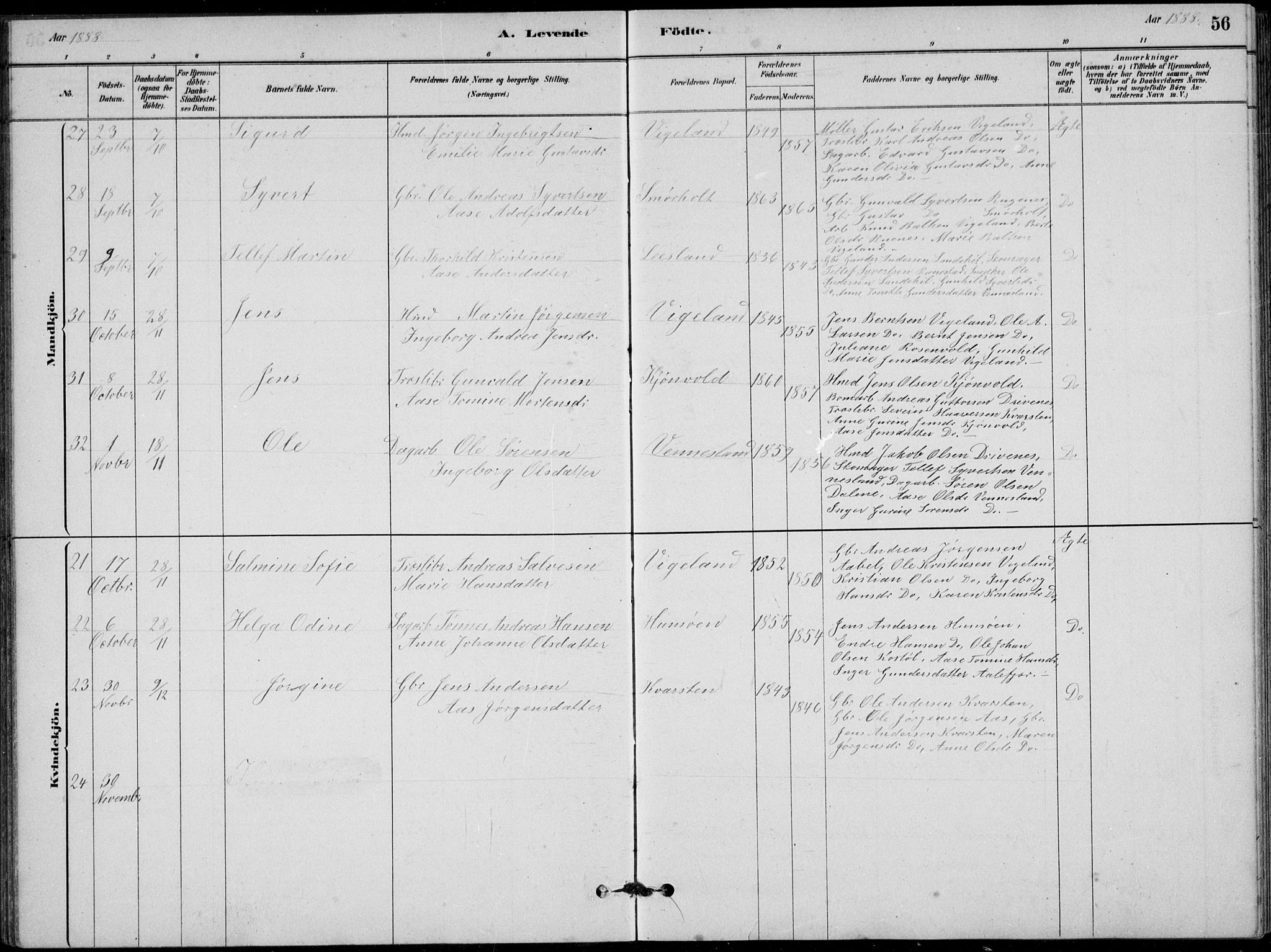 Vennesla sokneprestkontor, AV/SAK-1111-0045/Fb/Fbb/L0003: Parish register (copy) no. B 3, 1879-1893, p. 56