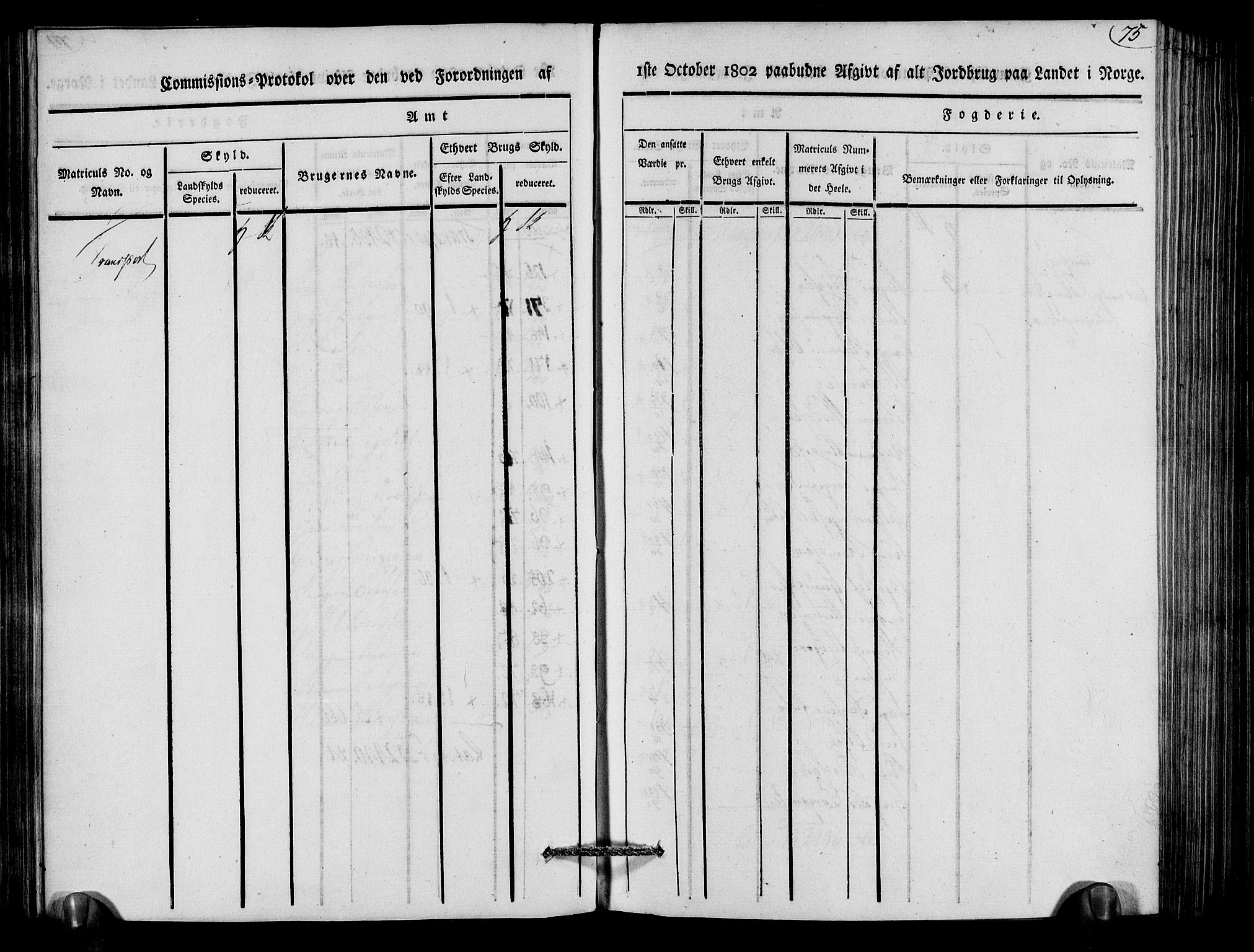 Rentekammeret inntil 1814, Realistisk ordnet avdeling, AV/RA-EA-4070/N/Ne/Nea/L0079: Nedenes fogderi. Kommisjonsprotokoll "Nr. 2", for Strengereid skipreide, 1803, p. 75