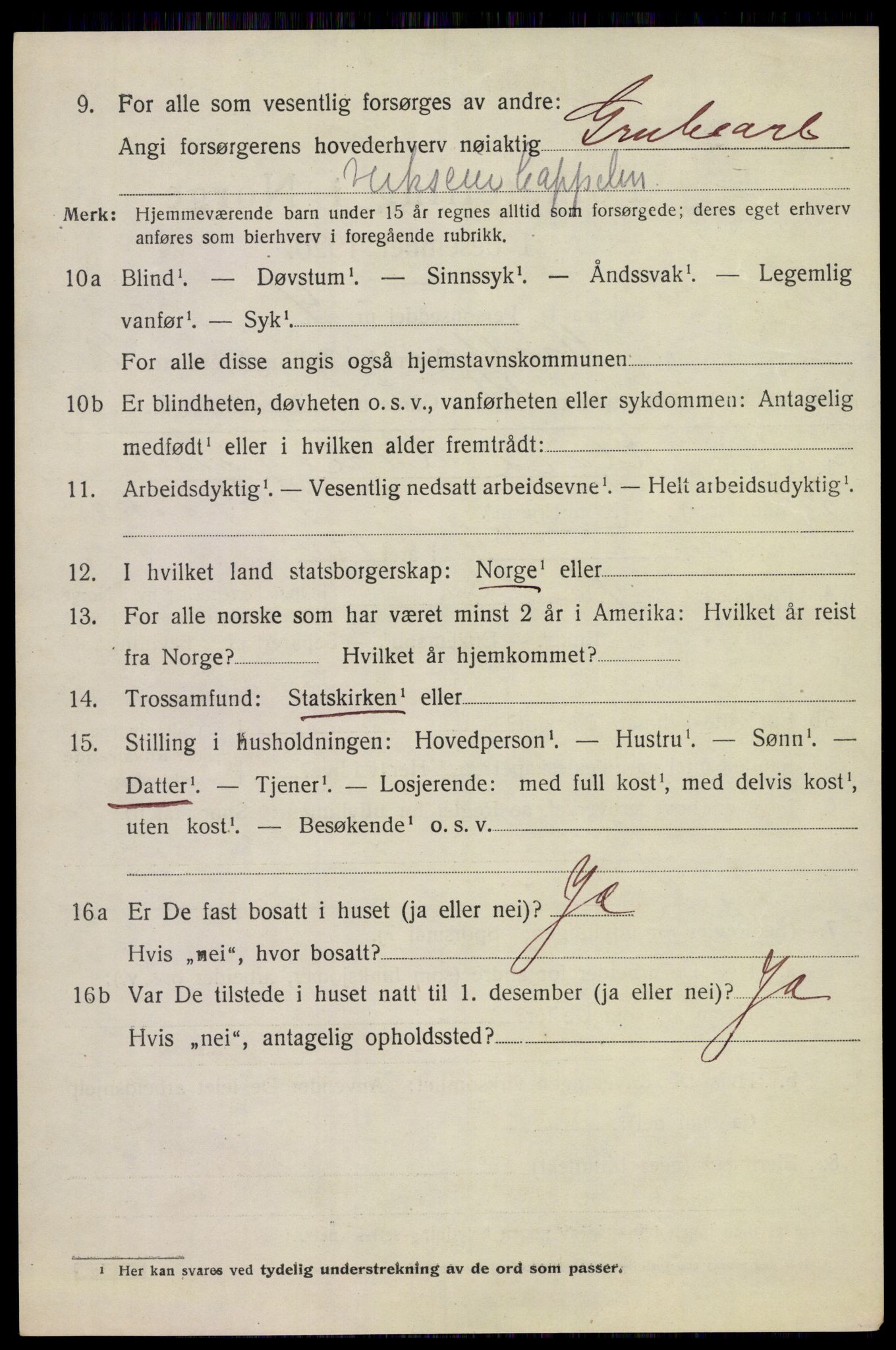 SAKO, 1920 census for Holla, 1920, p. 6014