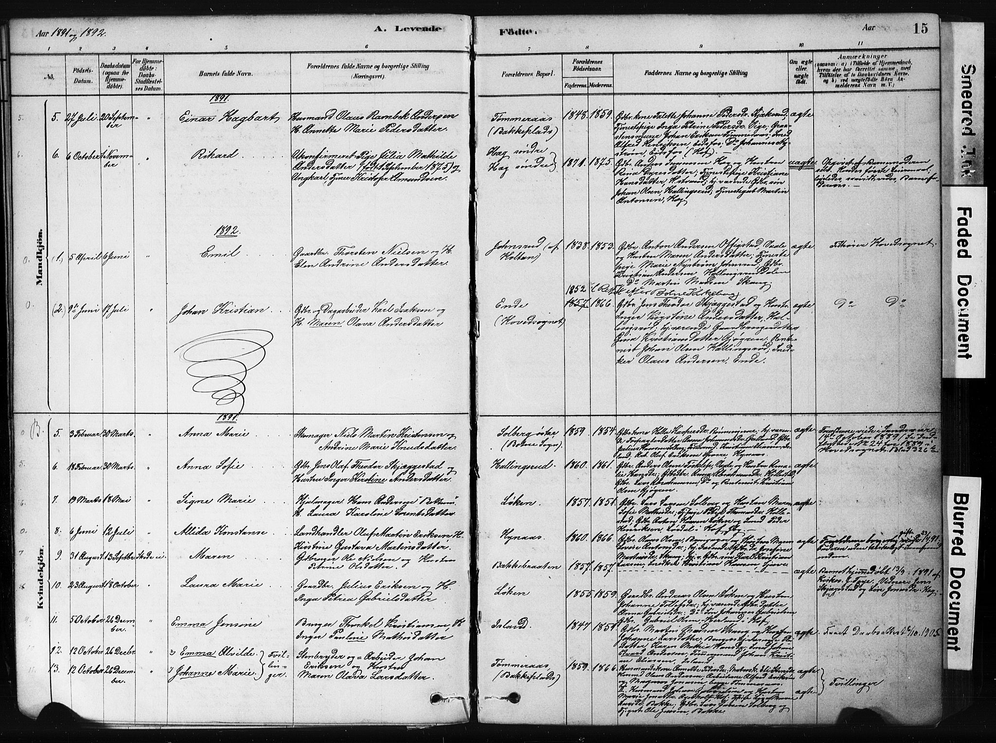 Botne kirkebøker, AV/SAKO-A-340/F/Fb/L0001: Parish register (official) no. II 1, 1878-1902, p. 15