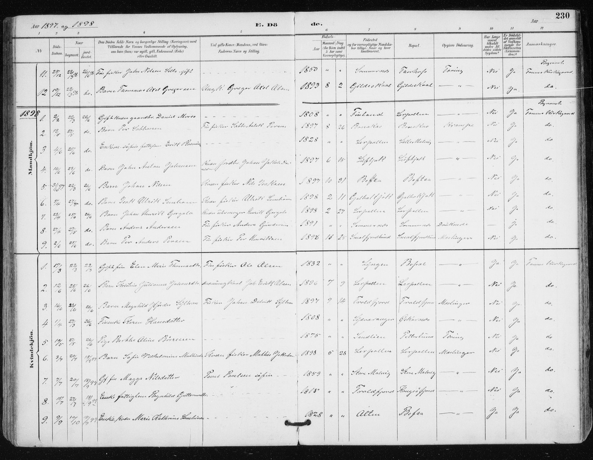 Tana sokneprestkontor, AV/SATØ-S-1334/H/Ha/L0005kirke: Parish register (official) no. 5, 1891-1903, p. 230