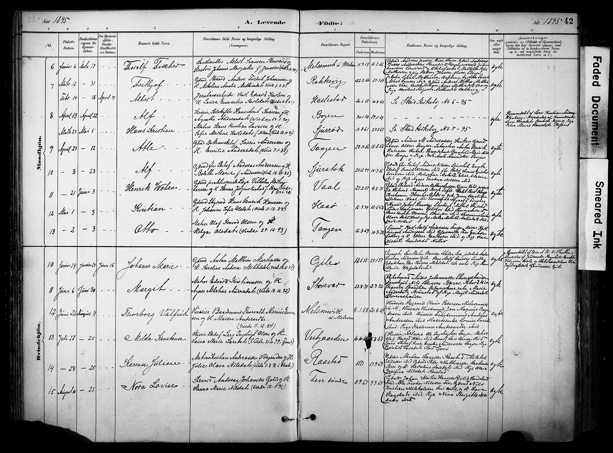 Stokke kirkebøker, SAKO/A-320/F/Fa/L0010: Parish register (official) no. I 10, 1884-1903, p. 42