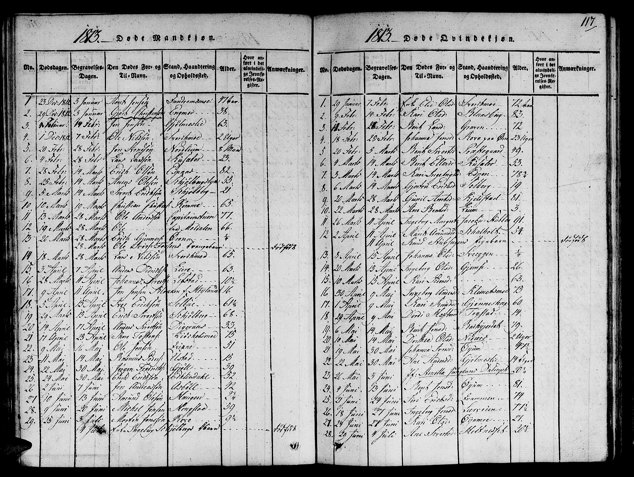 Ministerialprotokoller, klokkerbøker og fødselsregistre - Sør-Trøndelag, SAT/A-1456/668/L0803: Parish register (official) no. 668A03, 1800-1826, p. 117