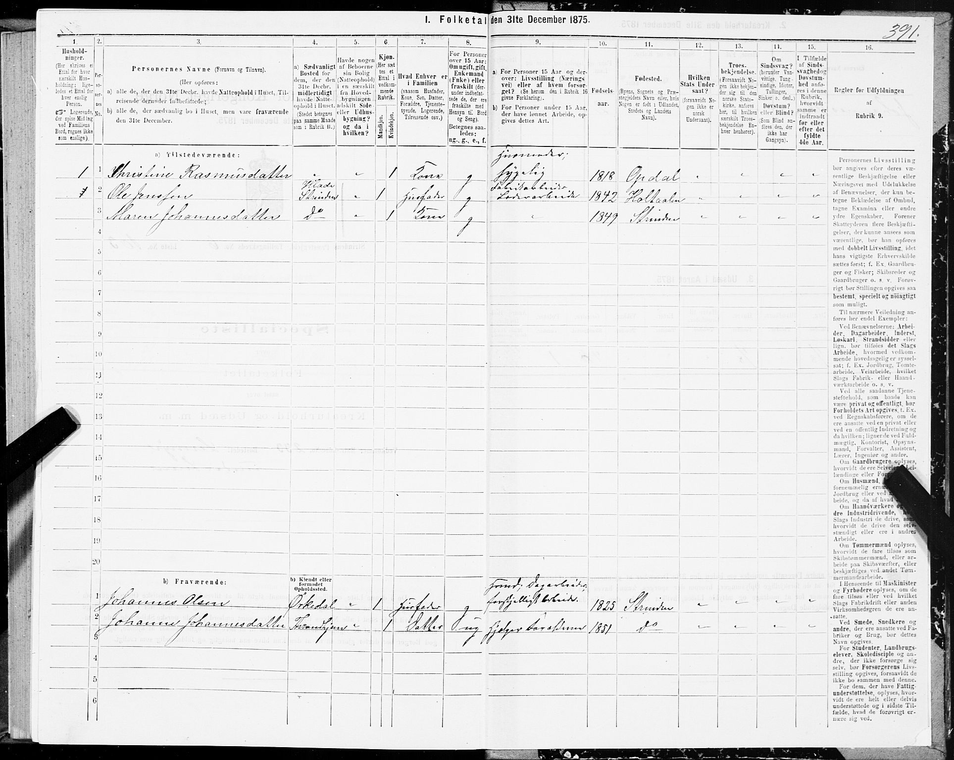 SAT, 1875 census for 1660P Strinda, 1875, p. 3391