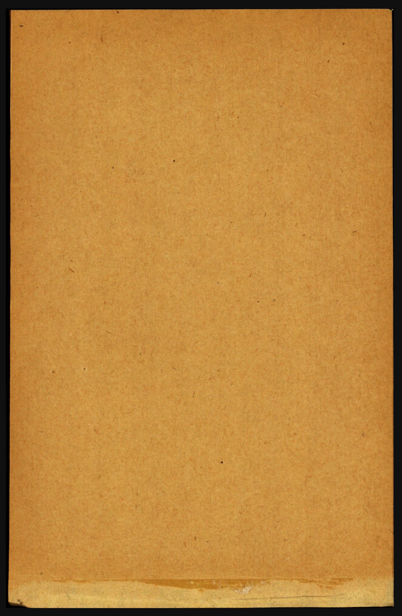 RA, 1891 census for 1719 Skogn, 1891, p. 2923