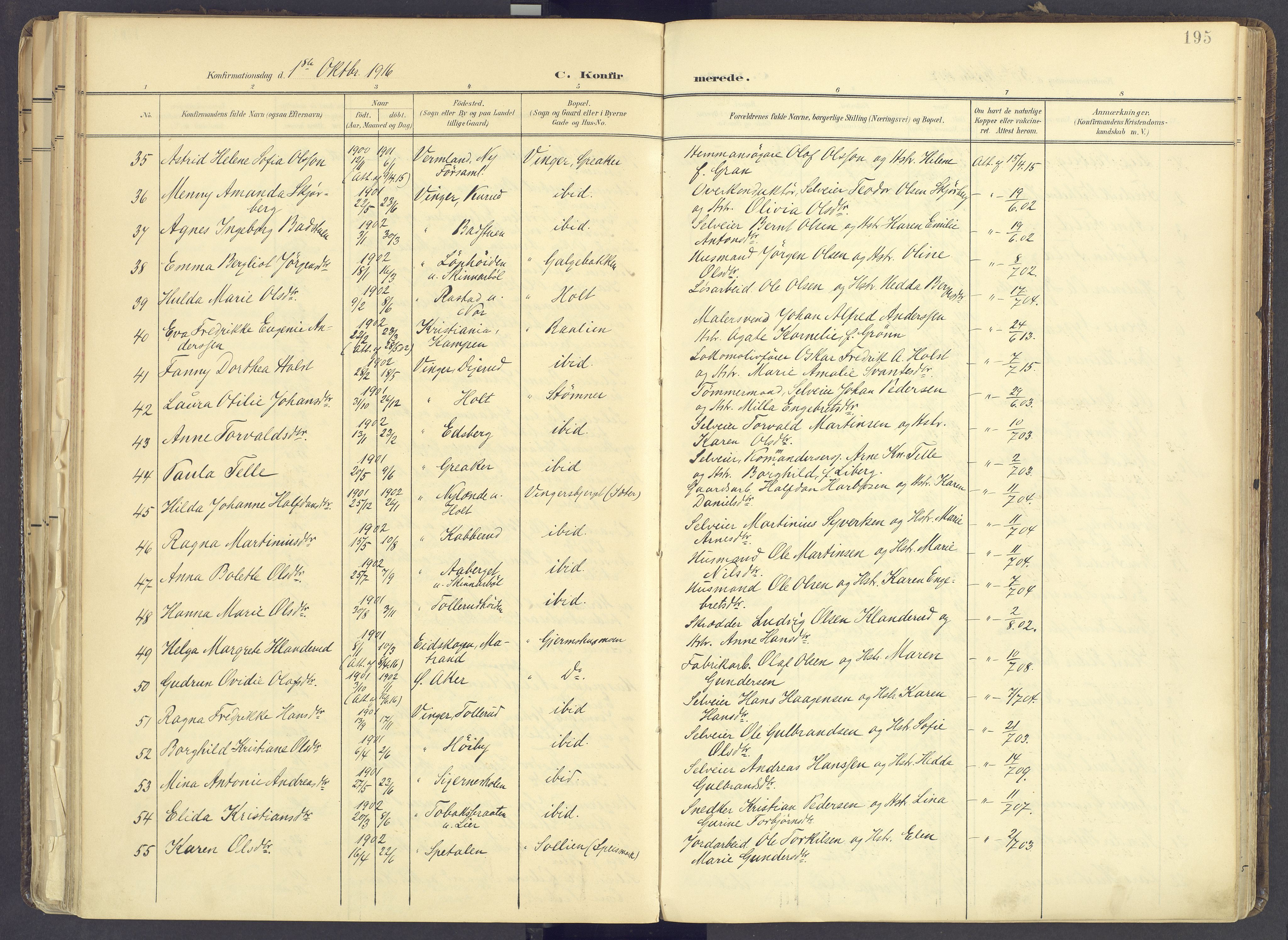 Vinger prestekontor, AV/SAH-PREST-024/H/Ha/Haa/L0017: Parish register (official) no. 17, 1901-1927, p. 195