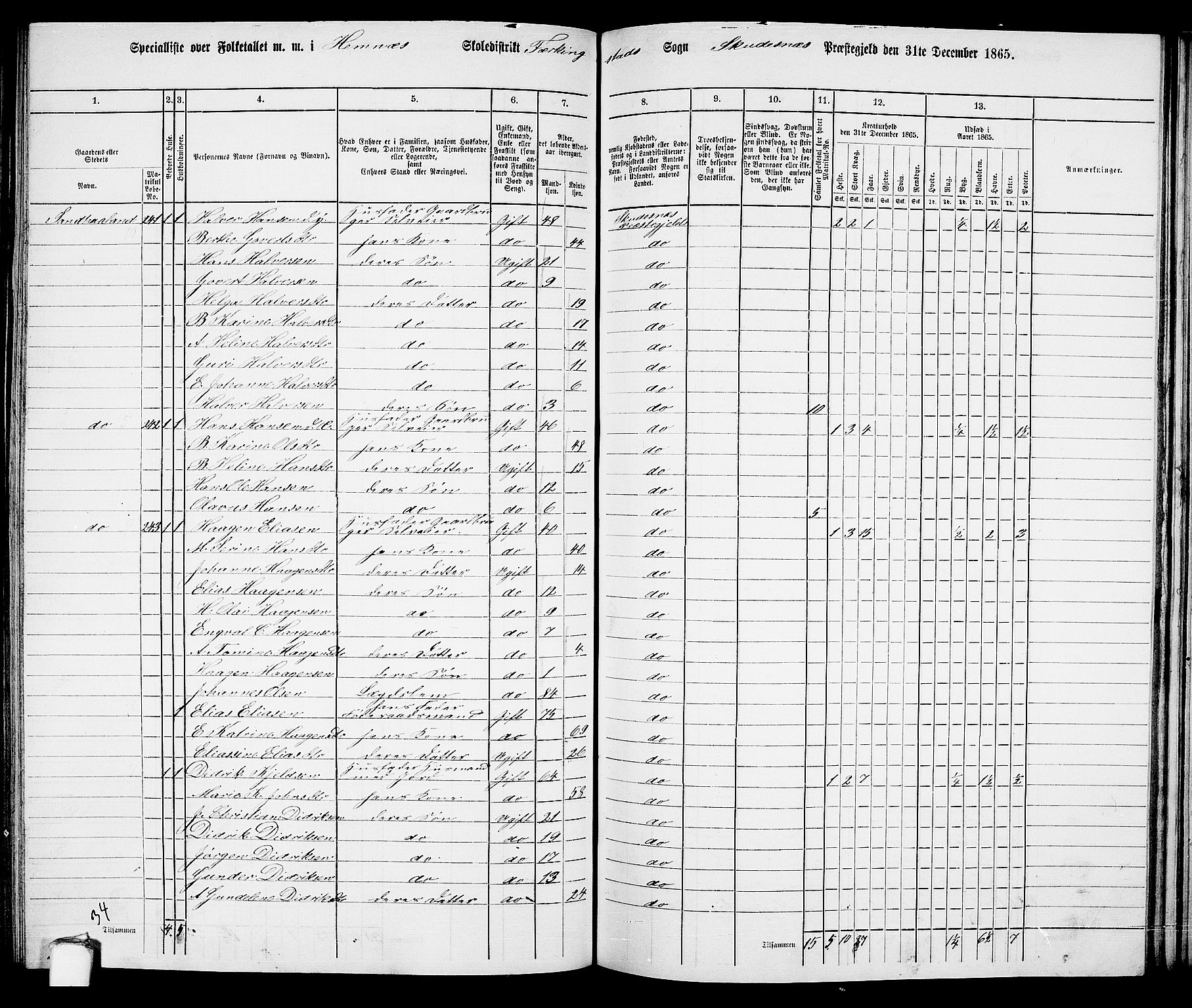 RA, 1865 census for Skudenes, 1865, p. 124