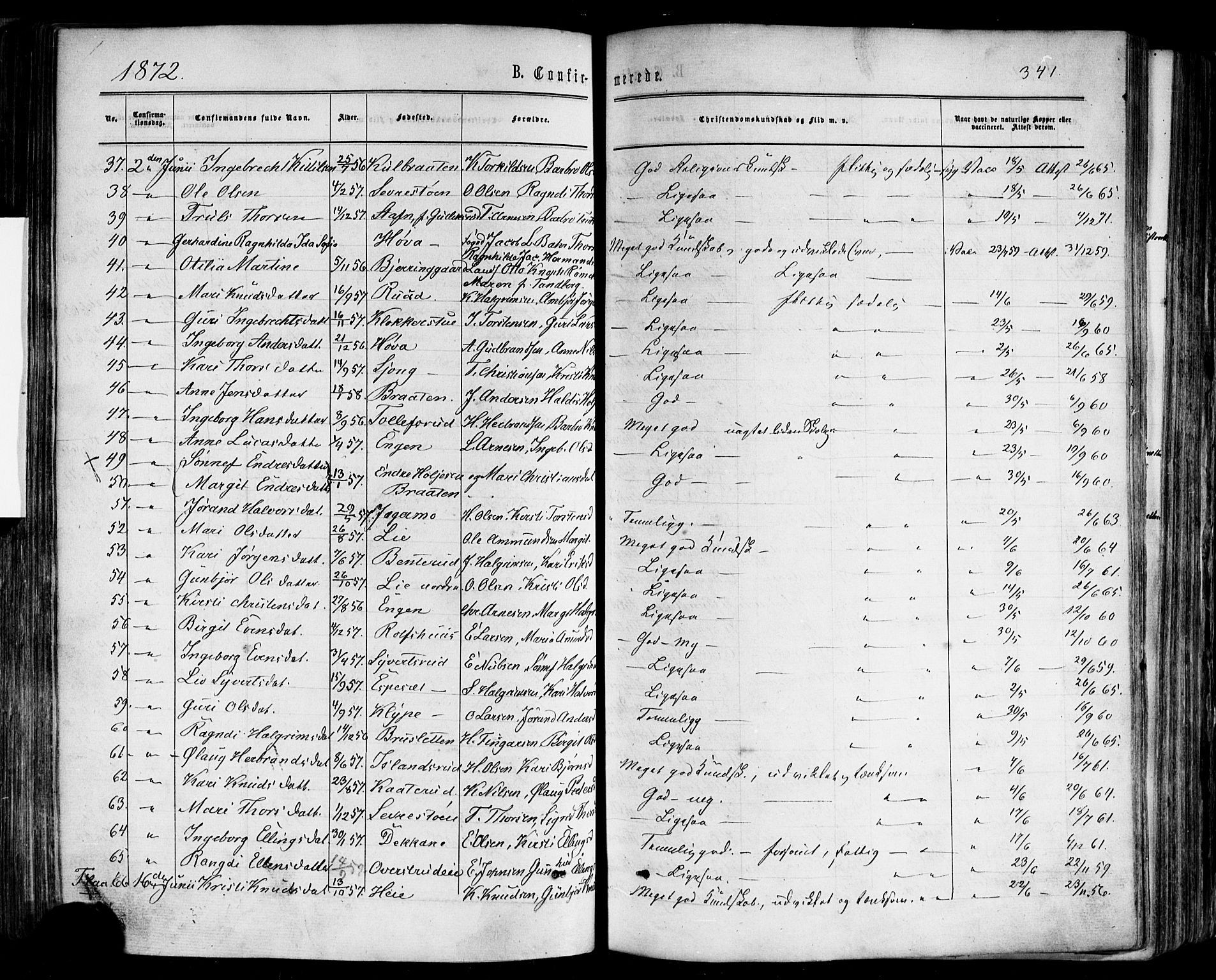 Nes kirkebøker, AV/SAKO-A-236/F/Fa/L0010: Parish register (official) no. 10, 1864-1880, p. 341