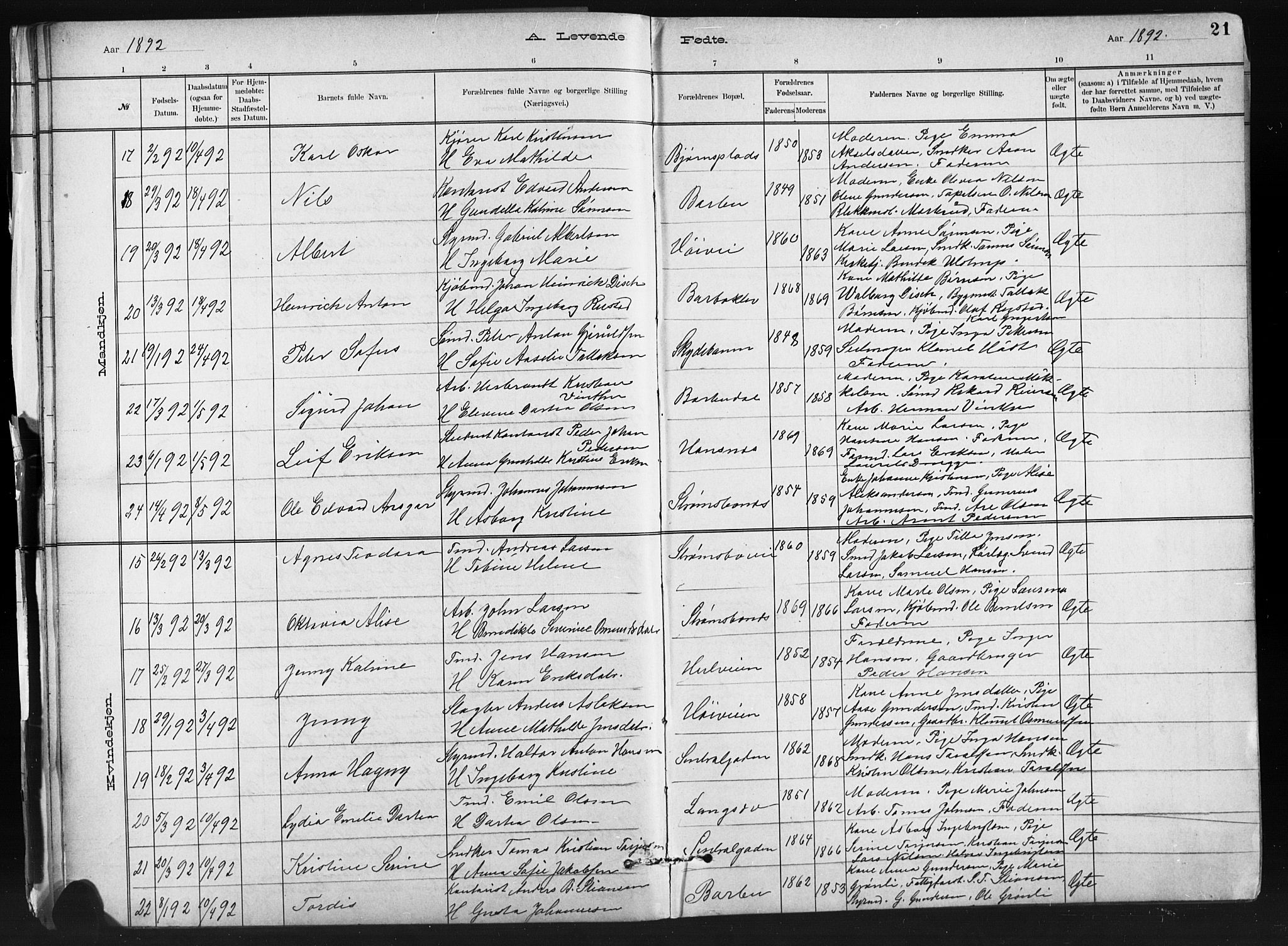 Barbu sokneprestkontor, AV/SAK-1111-0003/F/Fb/L0002: Parish register (copy) no. B 2, 1890-1922, p. 21