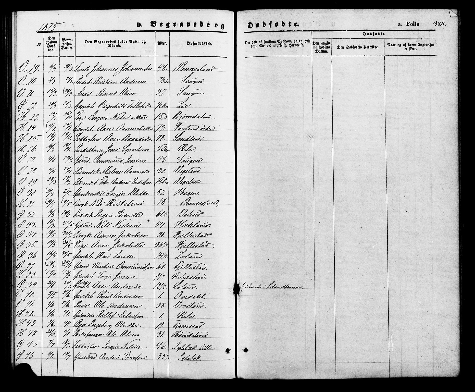 Vennesla sokneprestkontor, SAK/1111-0045/Fa/Fac/L0008: Parish register (official) no. A 8, 1874-1883, p. 324
