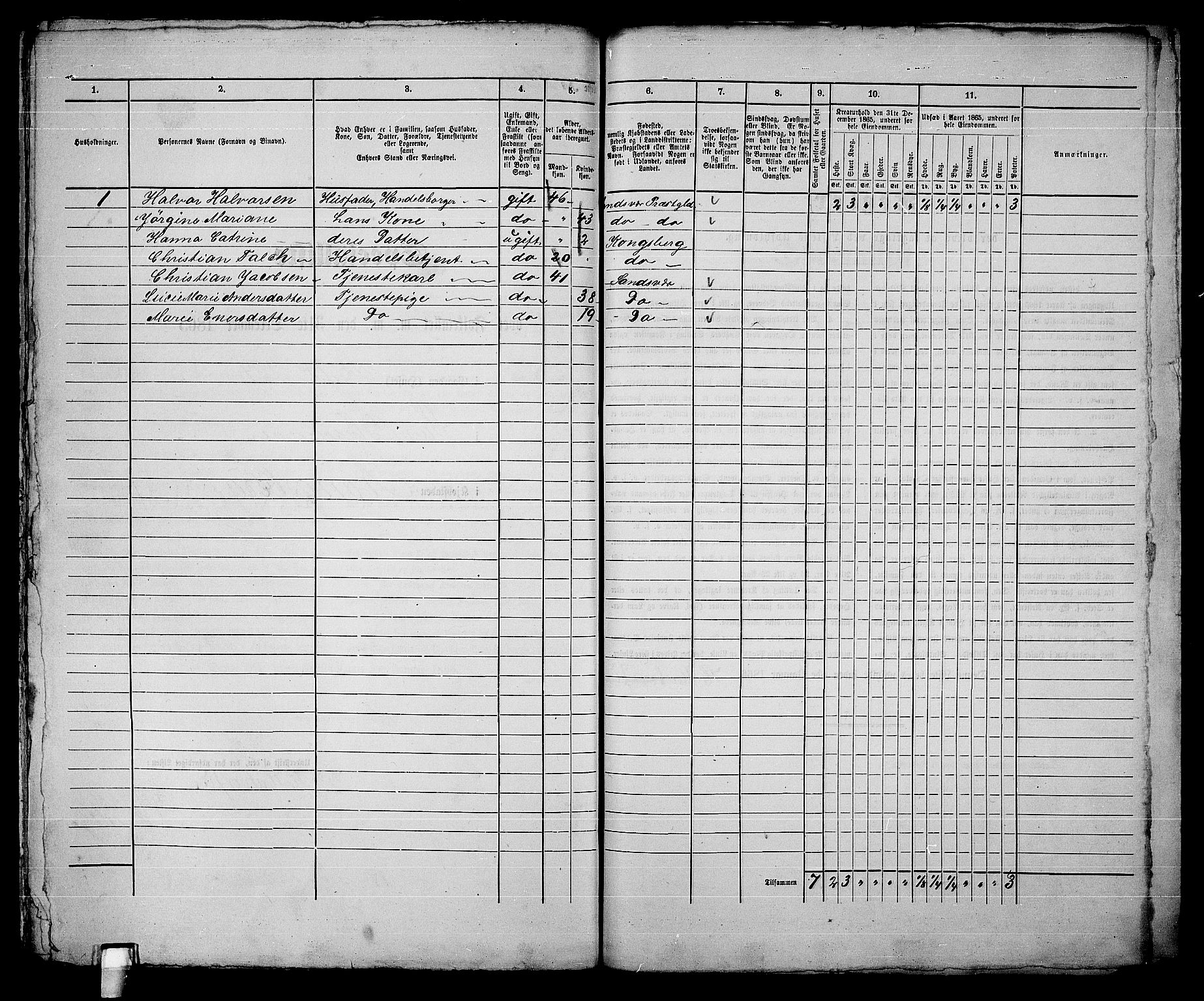 RA, 1865 census for Kongsberg/Kongsberg, 1865, p. 463