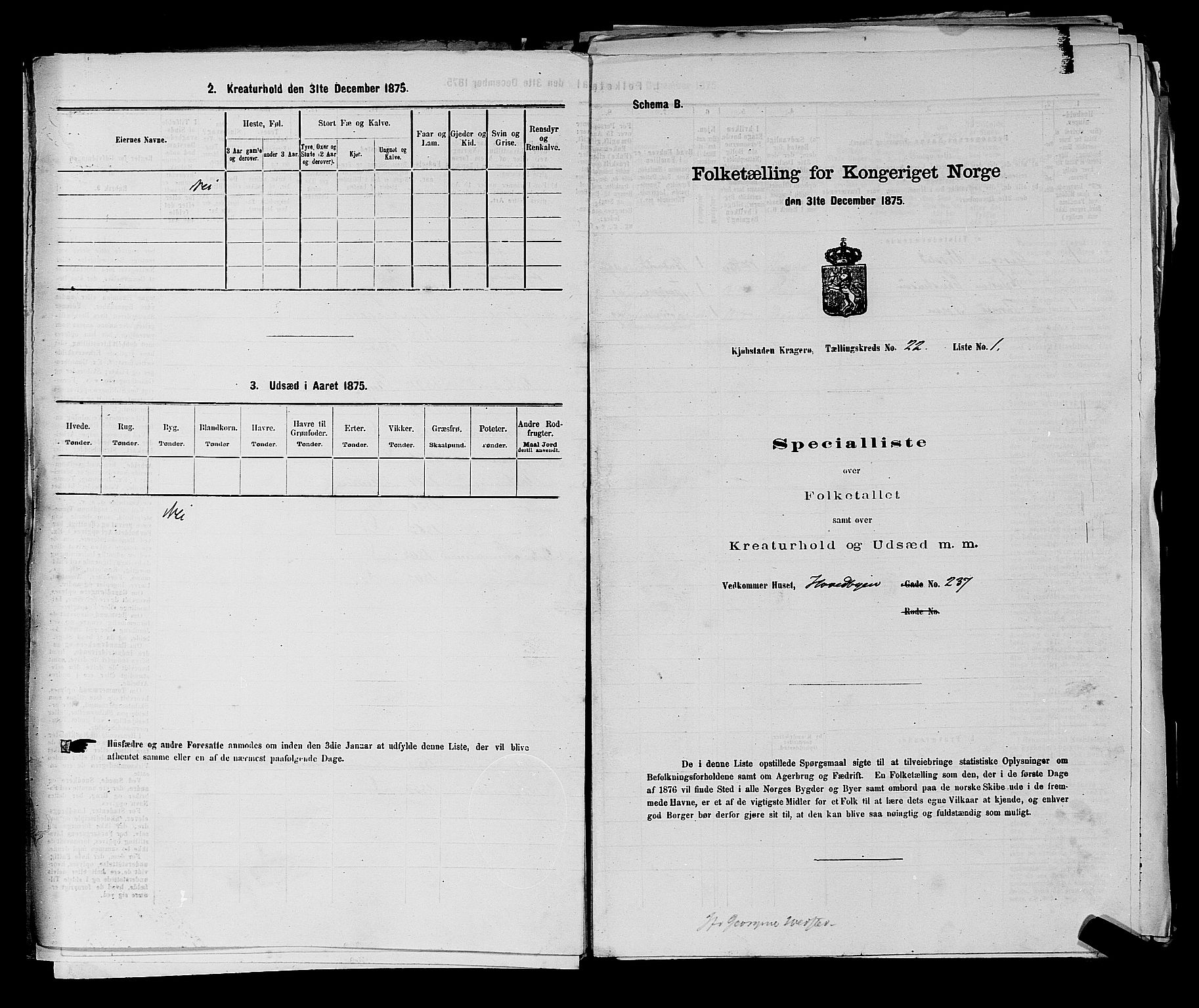 SAKO, 1875 census for 0801P Kragerø, 1875, p. 467