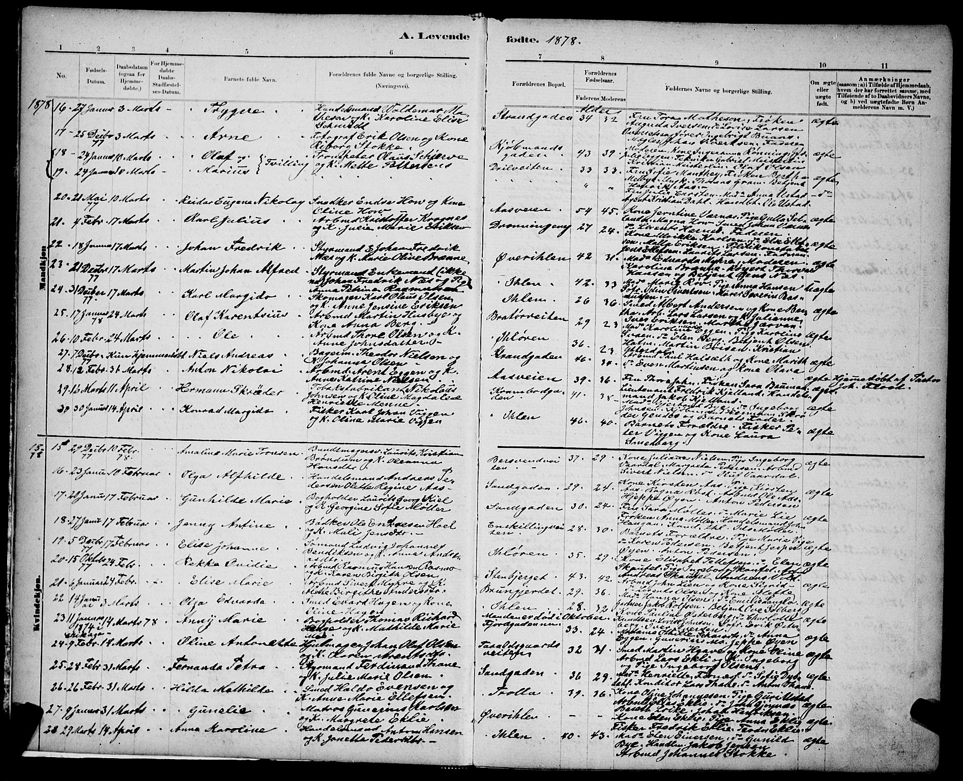 Ministerialprotokoller, klokkerbøker og fødselsregistre - Sør-Trøndelag, AV/SAT-A-1456/602/L0143: Parish register (copy) no. 602C11, 1878-1902