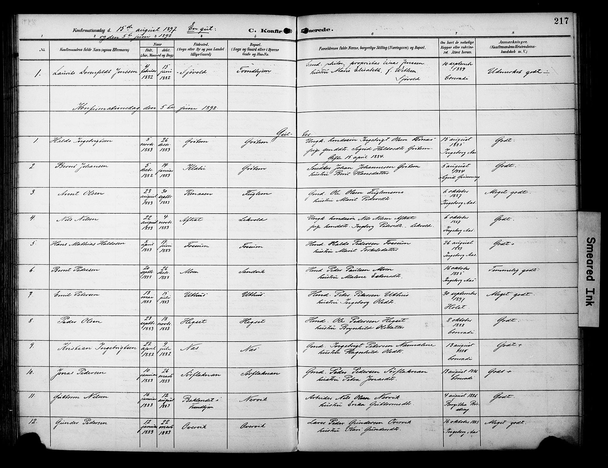 Ministerialprotokoller, klokkerbøker og fødselsregistre - Sør-Trøndelag, AV/SAT-A-1456/695/L1149: Parish register (official) no. 695A09, 1891-1902, p. 217