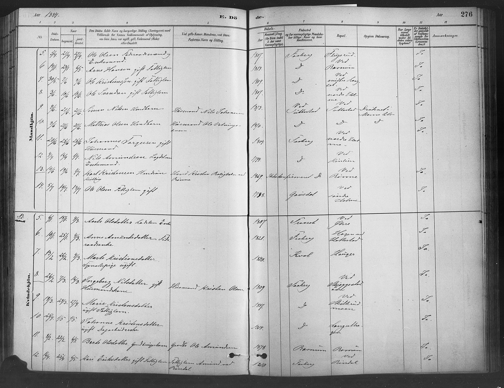 Fåberg prestekontor, SAH/PREST-086/H/Ha/Haa/L0009: Parish register (official) no. 9, 1879-1898, p. 276