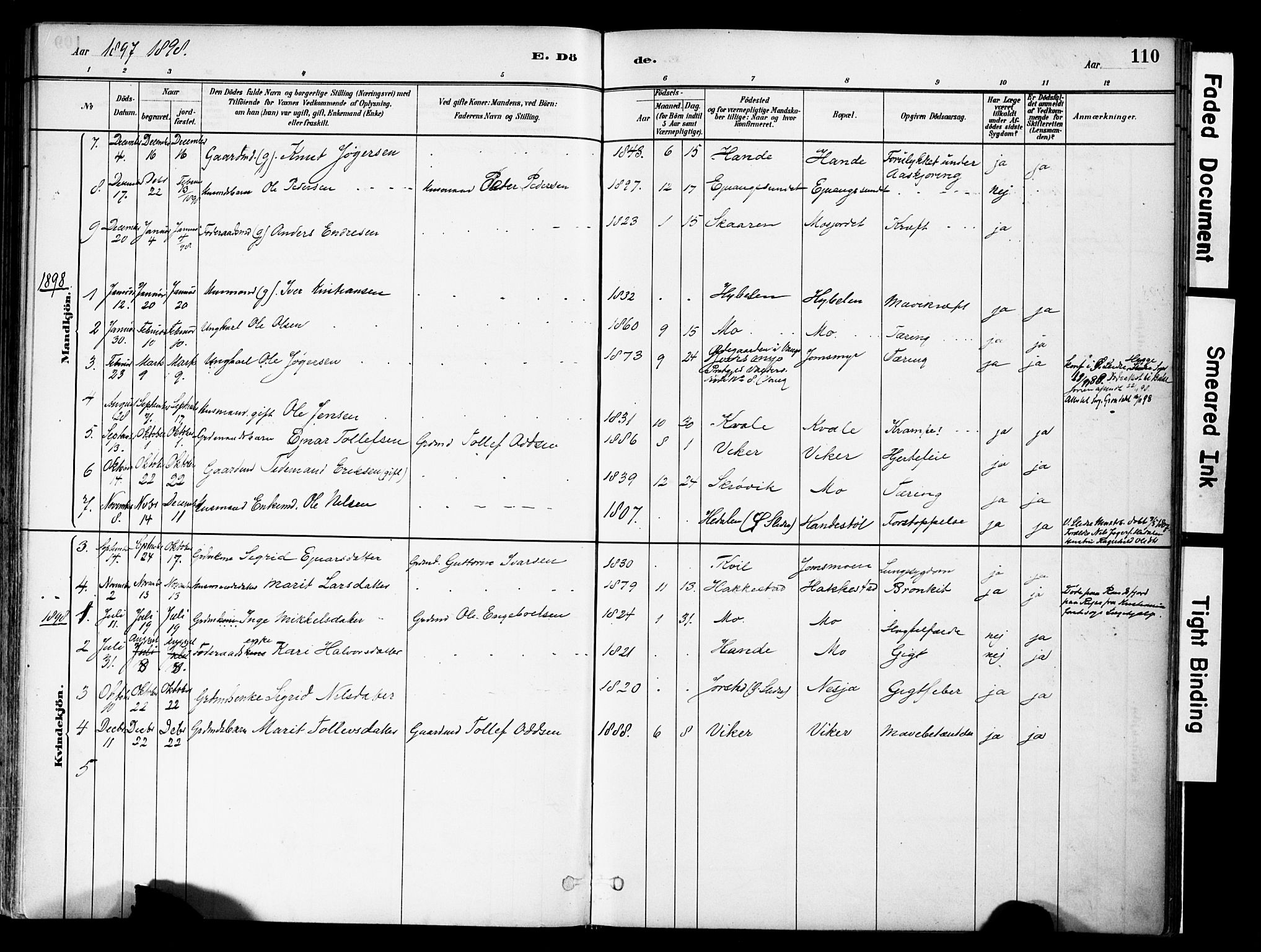 Vestre Slidre prestekontor, SAH/PREST-136/H/Ha/Haa/L0004: Parish register (official) no. 4, 1881-1911, p. 110
