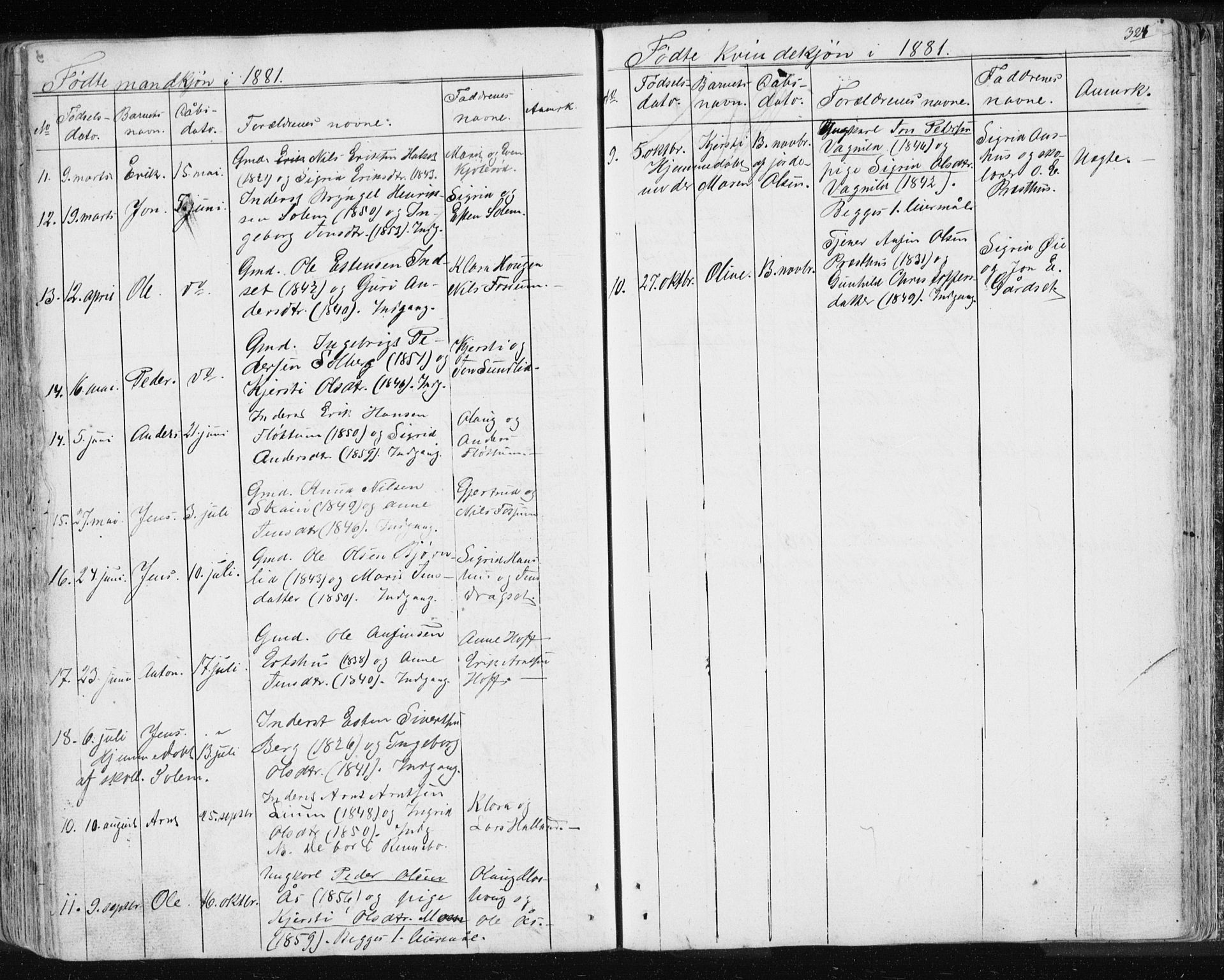 Ministerialprotokoller, klokkerbøker og fødselsregistre - Sør-Trøndelag, SAT/A-1456/689/L1043: Parish register (copy) no. 689C02, 1816-1892, p. 324