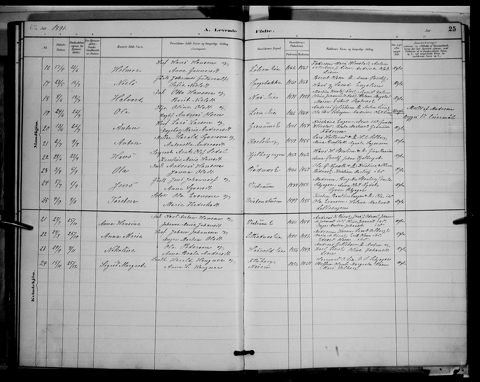 Søndre Land prestekontor, SAH/PREST-122/L/L0003: Parish register (copy) no. 3, 1884-1902, p. 25
