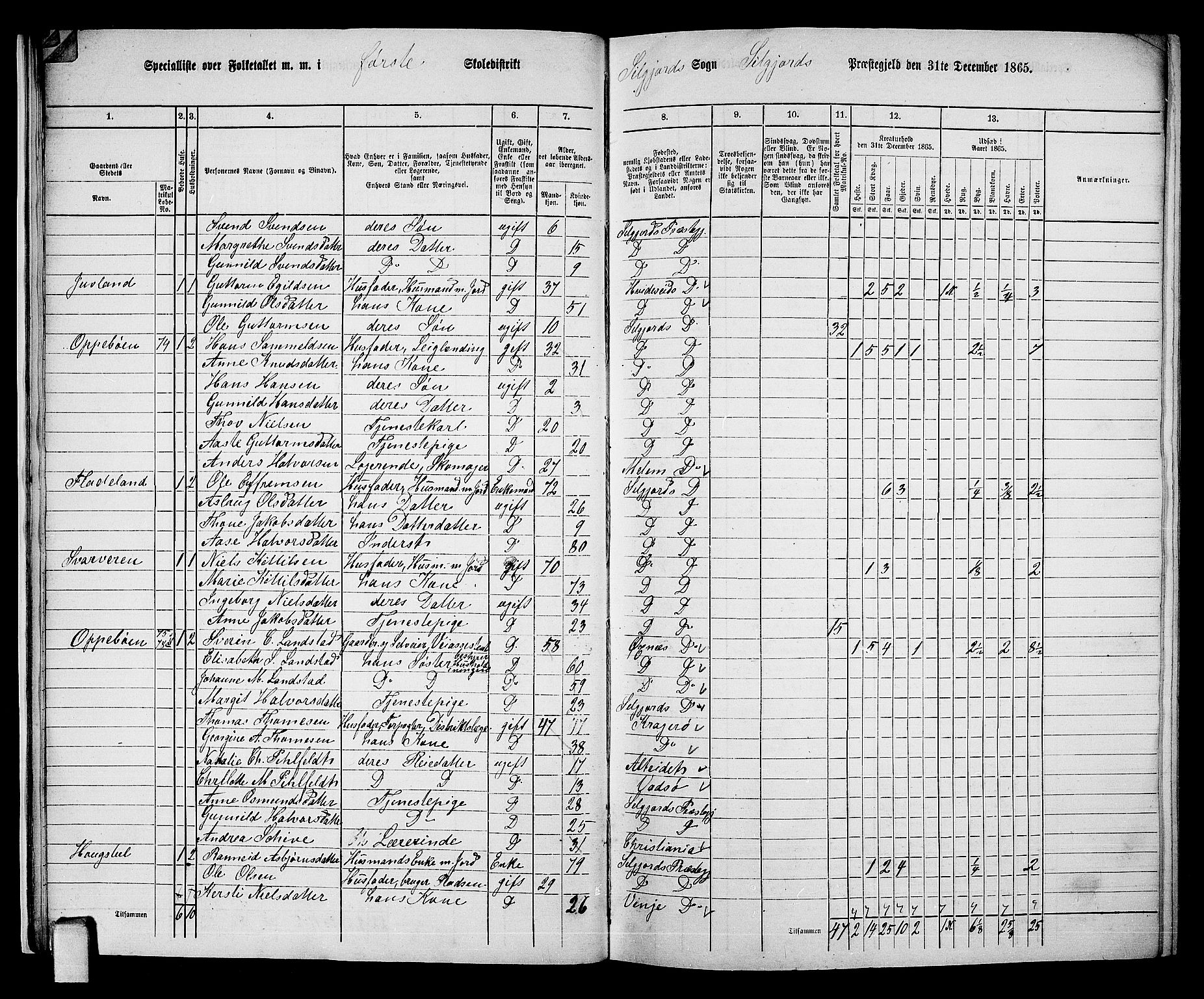 RA, 1865 census for Seljord, 1865, p. 17