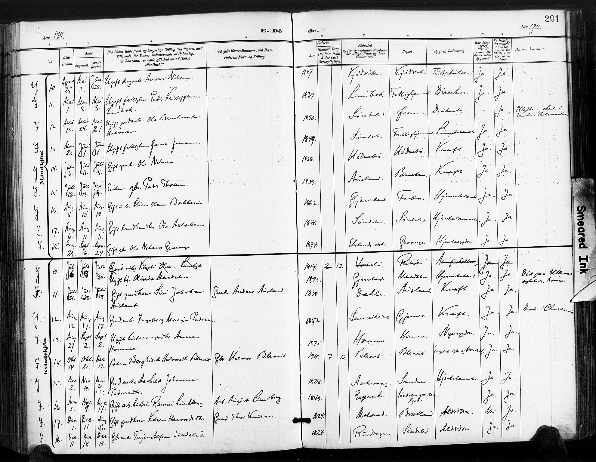 Søndeled sokneprestkontor, AV/SAK-1111-0038/F/Fa/L0006: Parish register (official) no. A 6, 1900-1922, p. 291