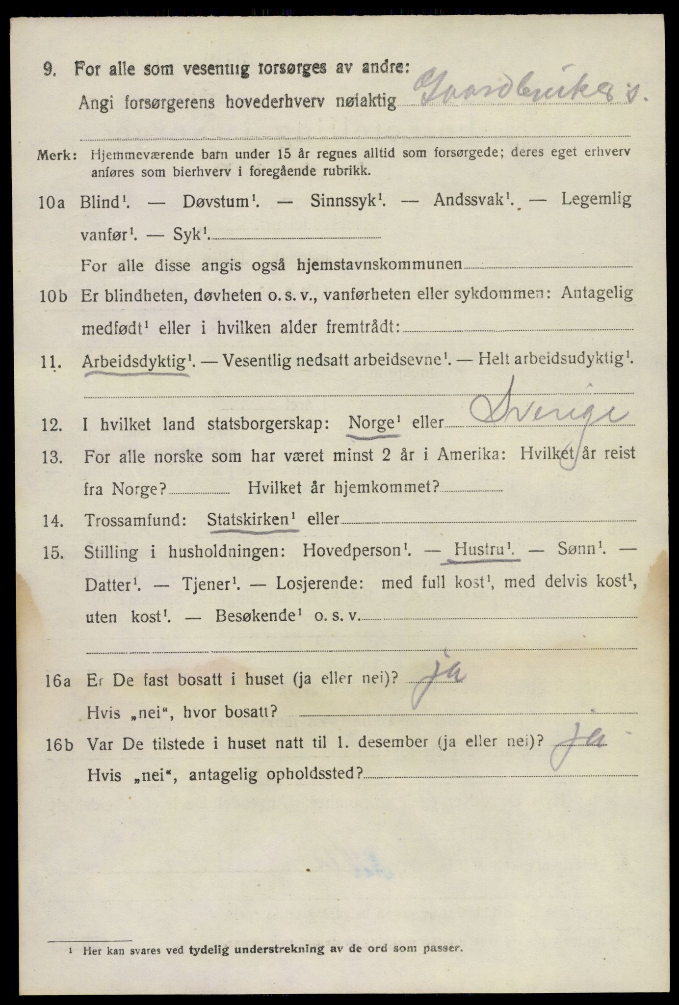 SAKO, 1920 census for Brunlanes, 1920, p. 6828