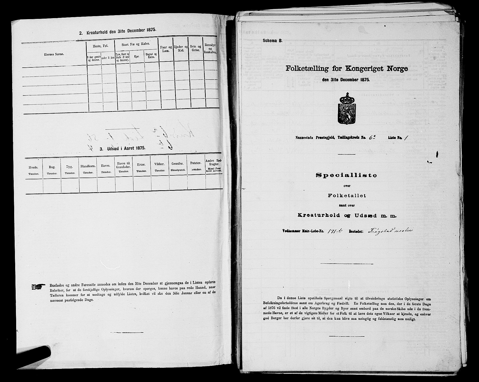 RA, 1875 census for 0238P Nannestad, 1875, p. 873