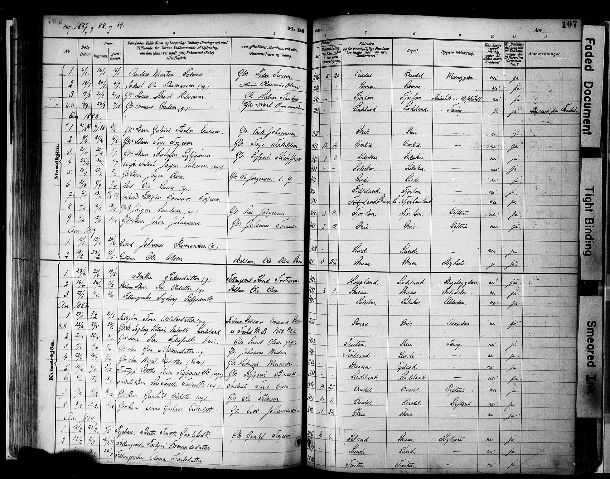 Sirdal sokneprestkontor, AV/SAK-1111-0036/F/Fa/Faa/L0001: Parish register (official) no. A 1, 1887-1910, p. 107