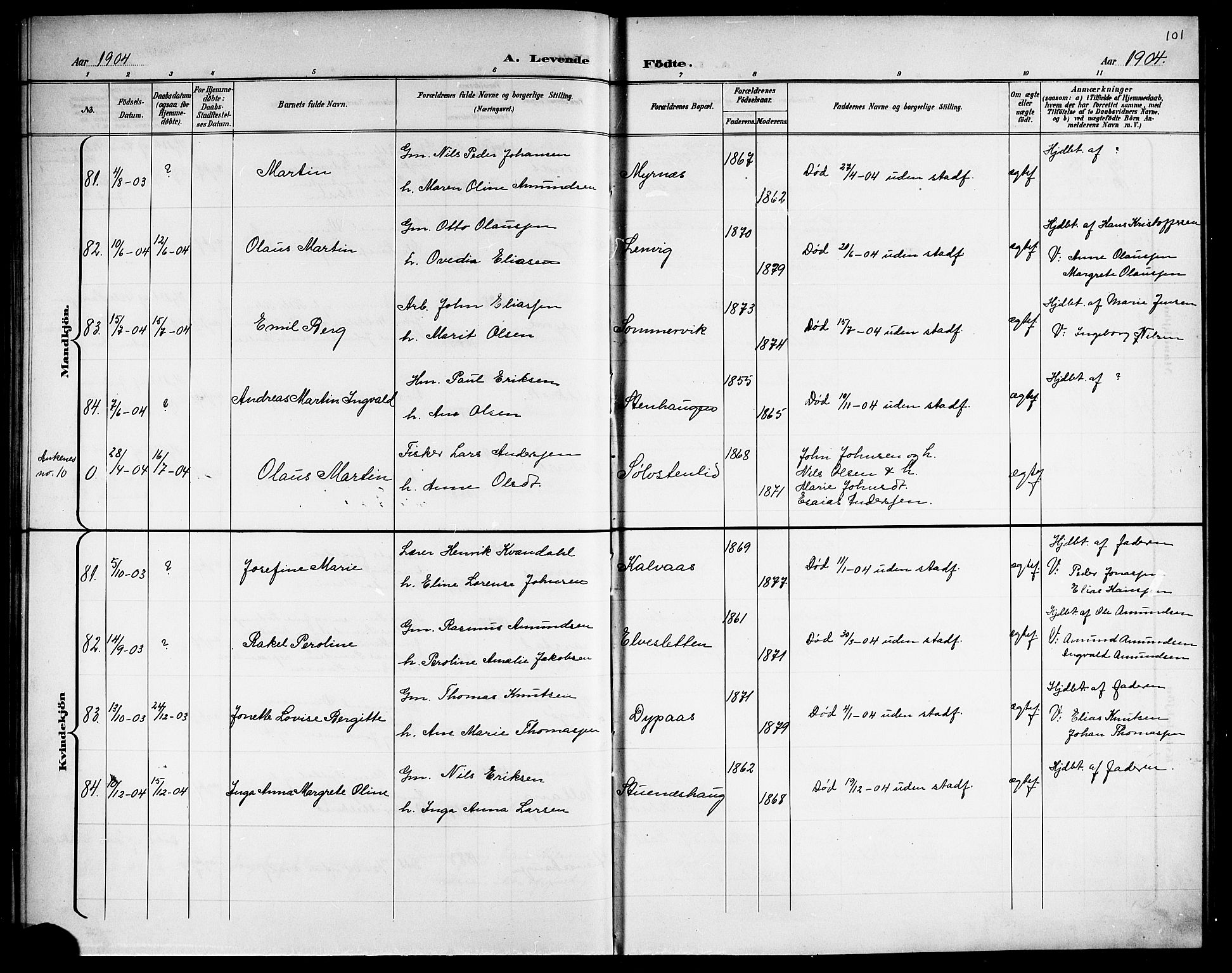 Ministerialprotokoller, klokkerbøker og fødselsregistre - Nordland, AV/SAT-A-1459/863/L0915: Parish register (copy) no. 863C05, 1898-1907, p. 101