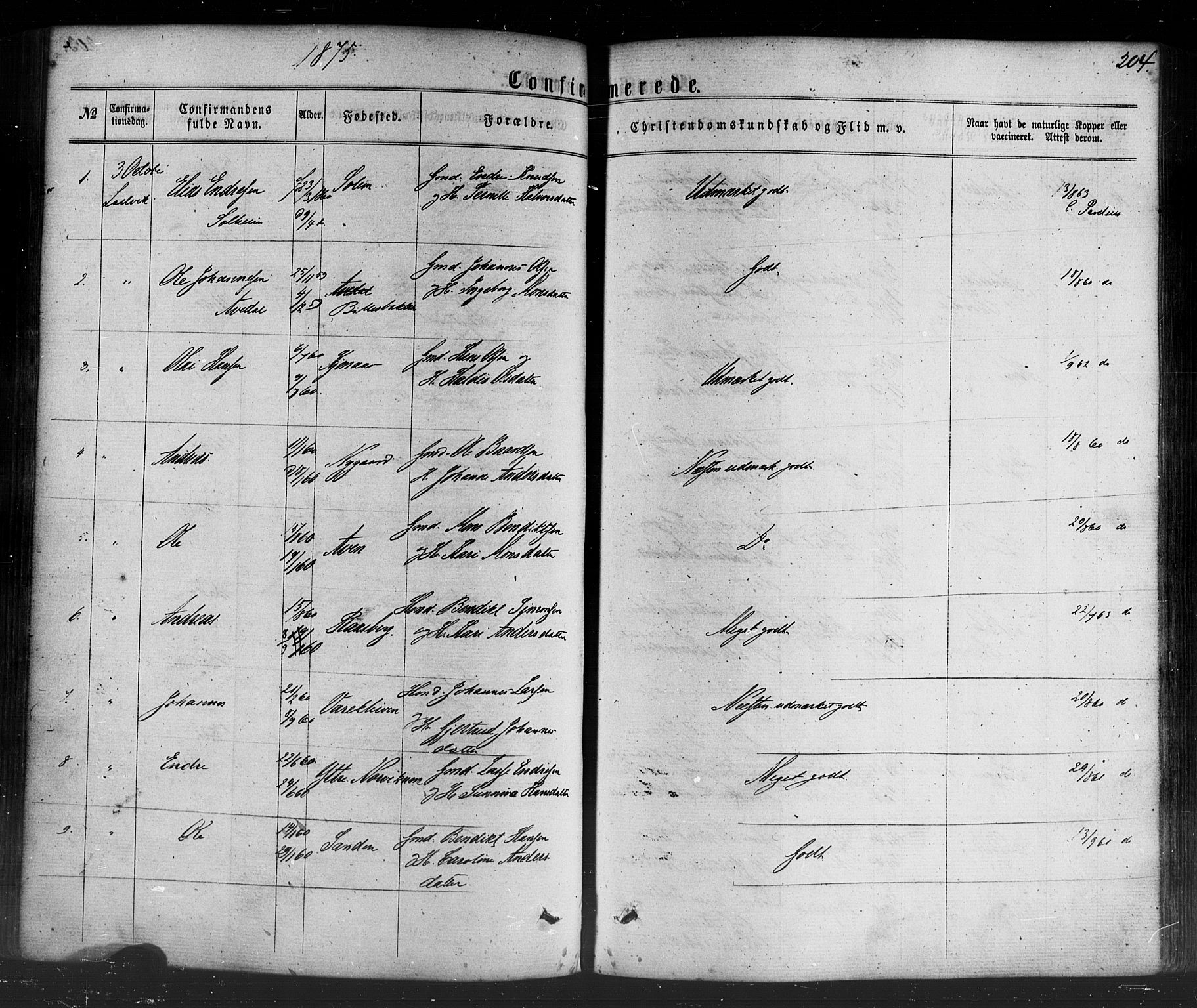 Lavik sokneprestembete, AV/SAB-A-80901: Parish register (official) no. A 4, 1864-1881, p. 204