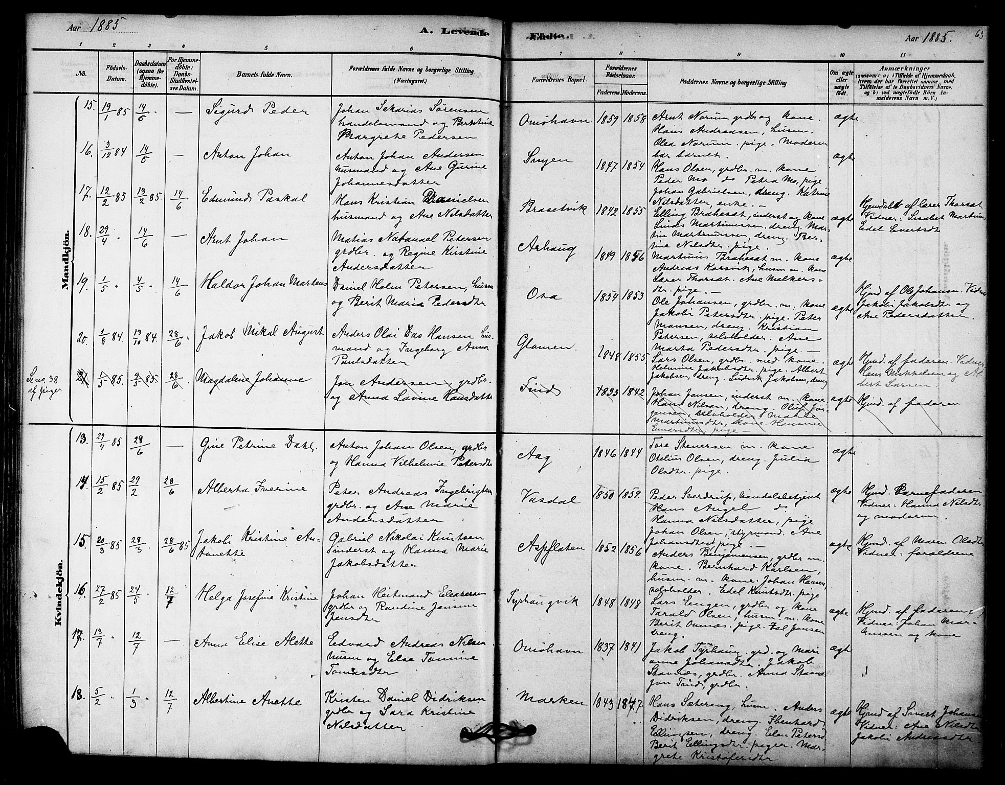 Ministerialprotokoller, klokkerbøker og fødselsregistre - Nordland, AV/SAT-A-1459/843/L0626: Parish register (official) no. 843A01, 1878-1907, p. 65